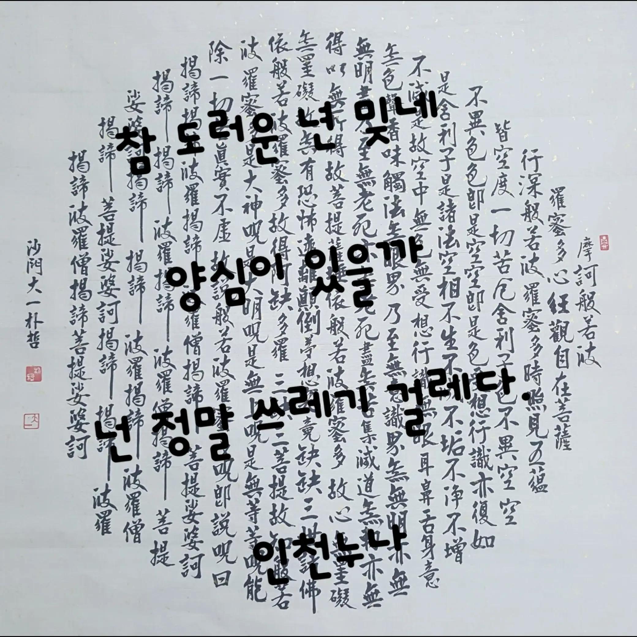 @@냥이글