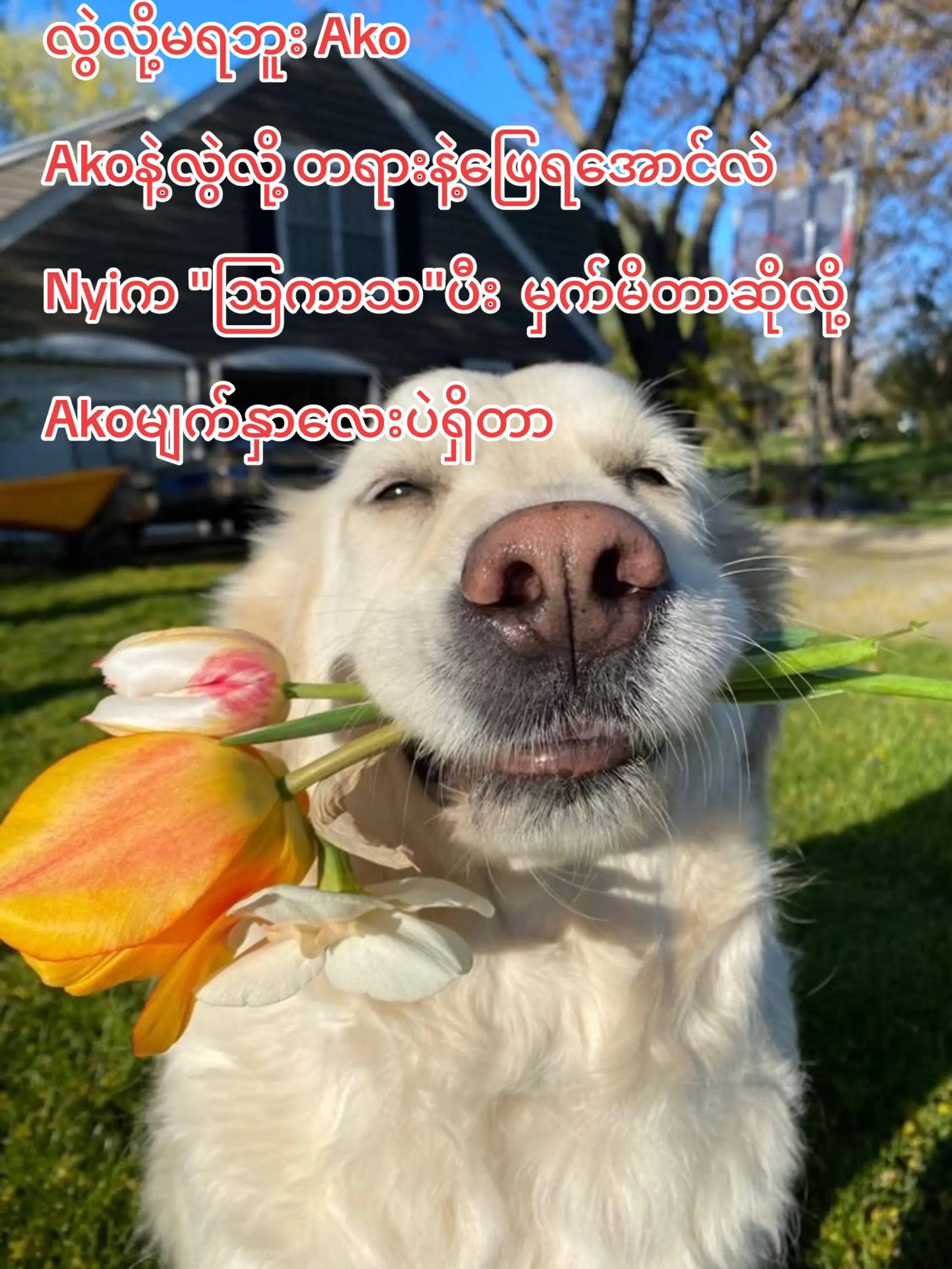 @𝐄𝐦𝐢𝐧