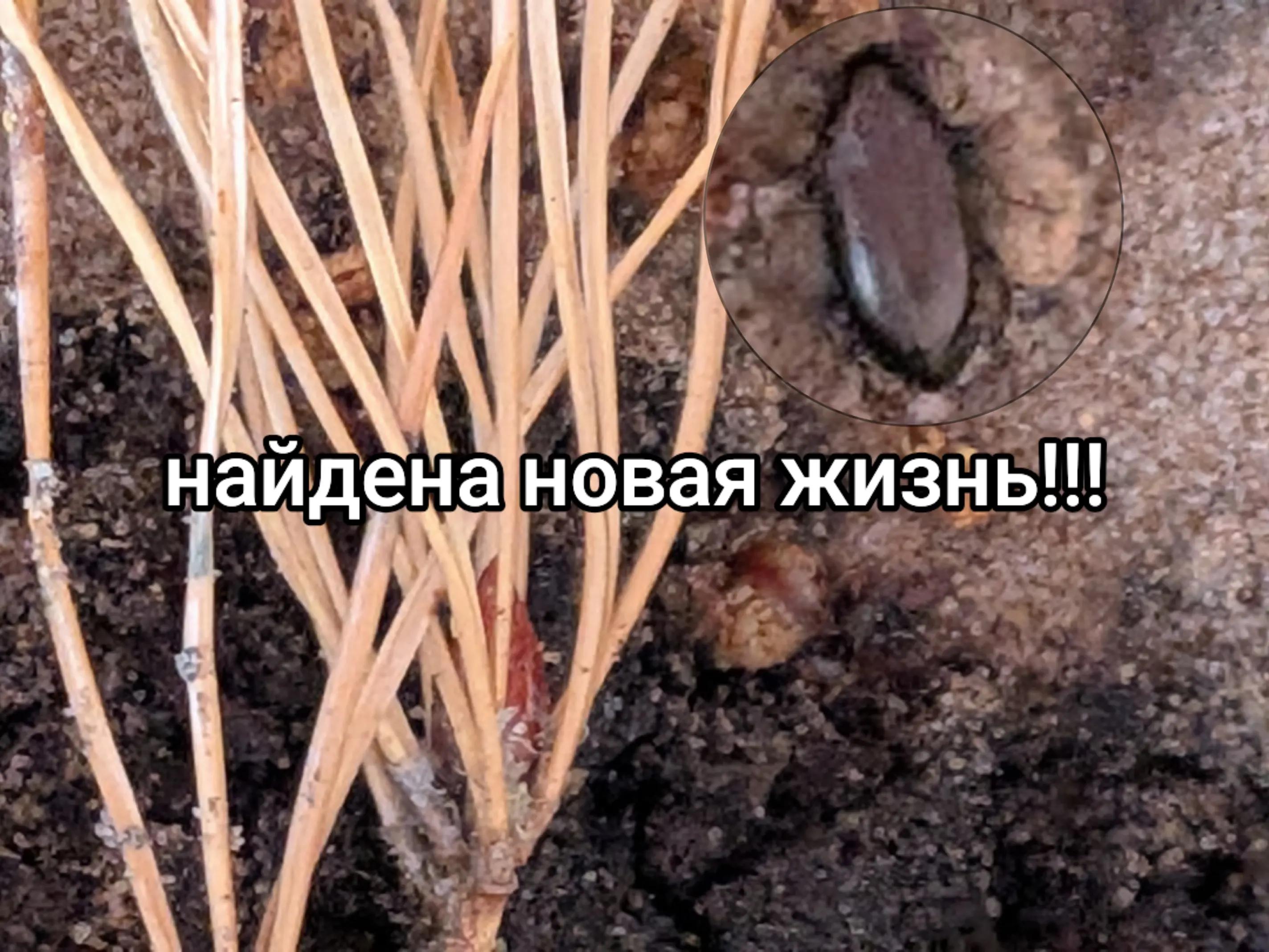 @ЖИЗНЬ В КОРОБКЕ