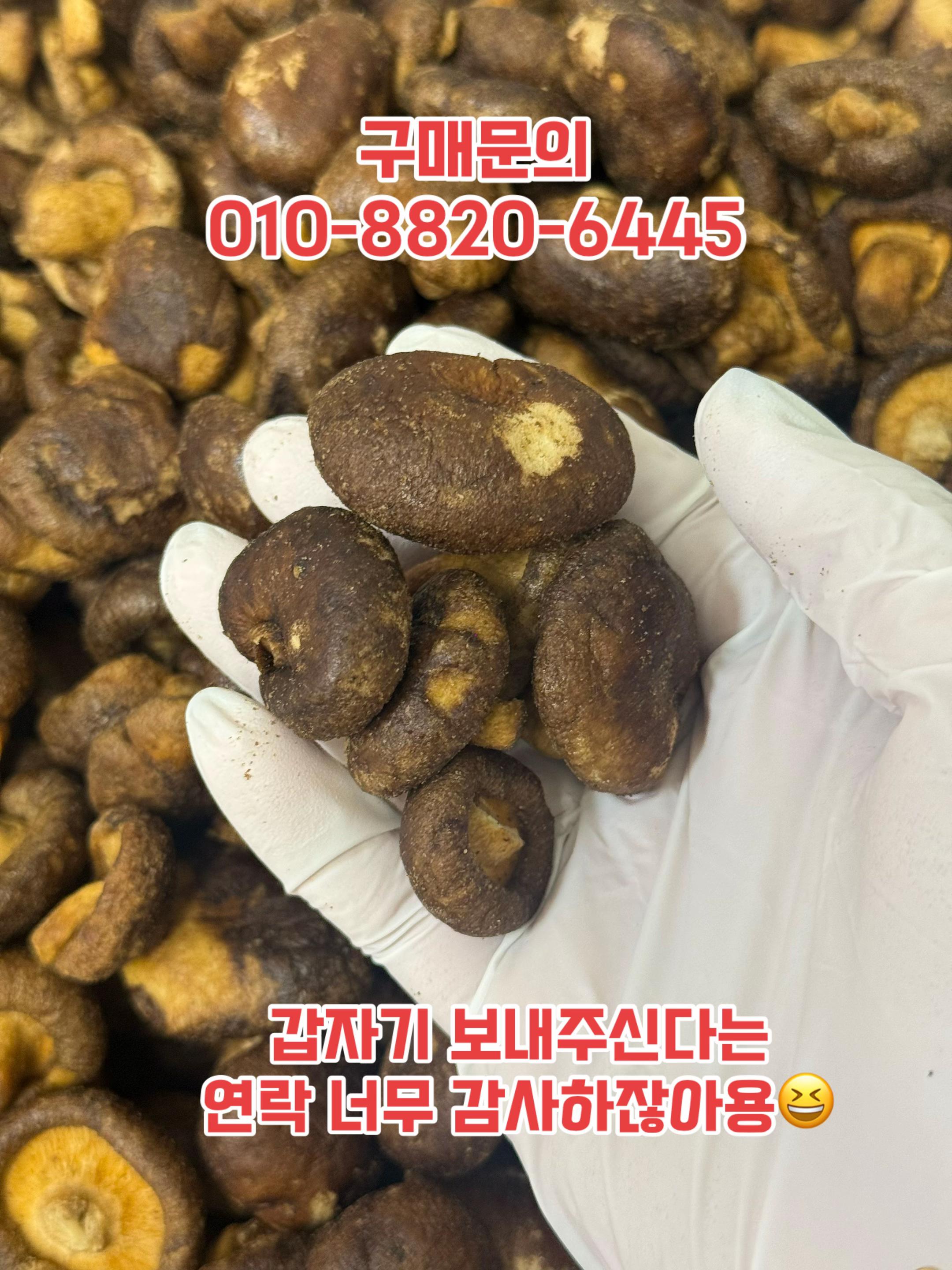 @숭사장건어물(숭사장오징어)🦑