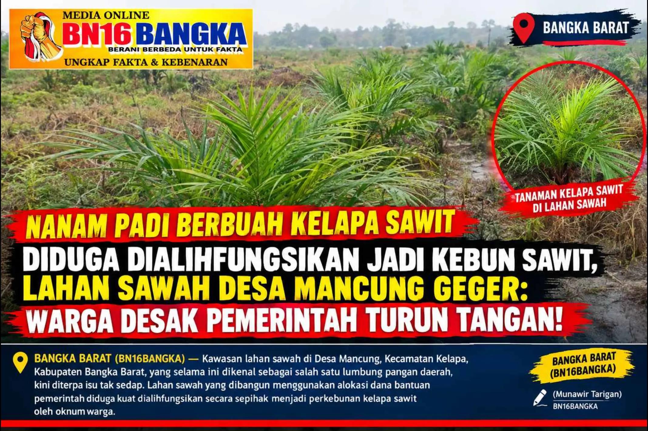 @BN16 BANGKA