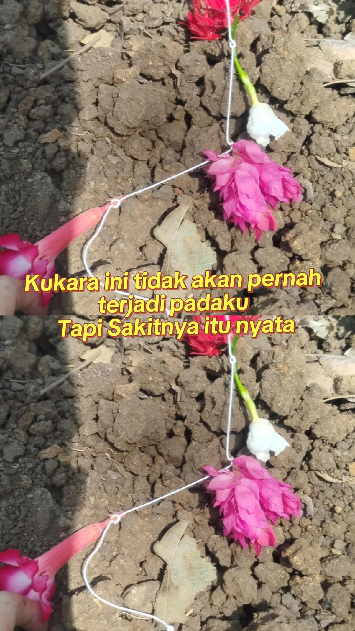 @ayah Kahfi