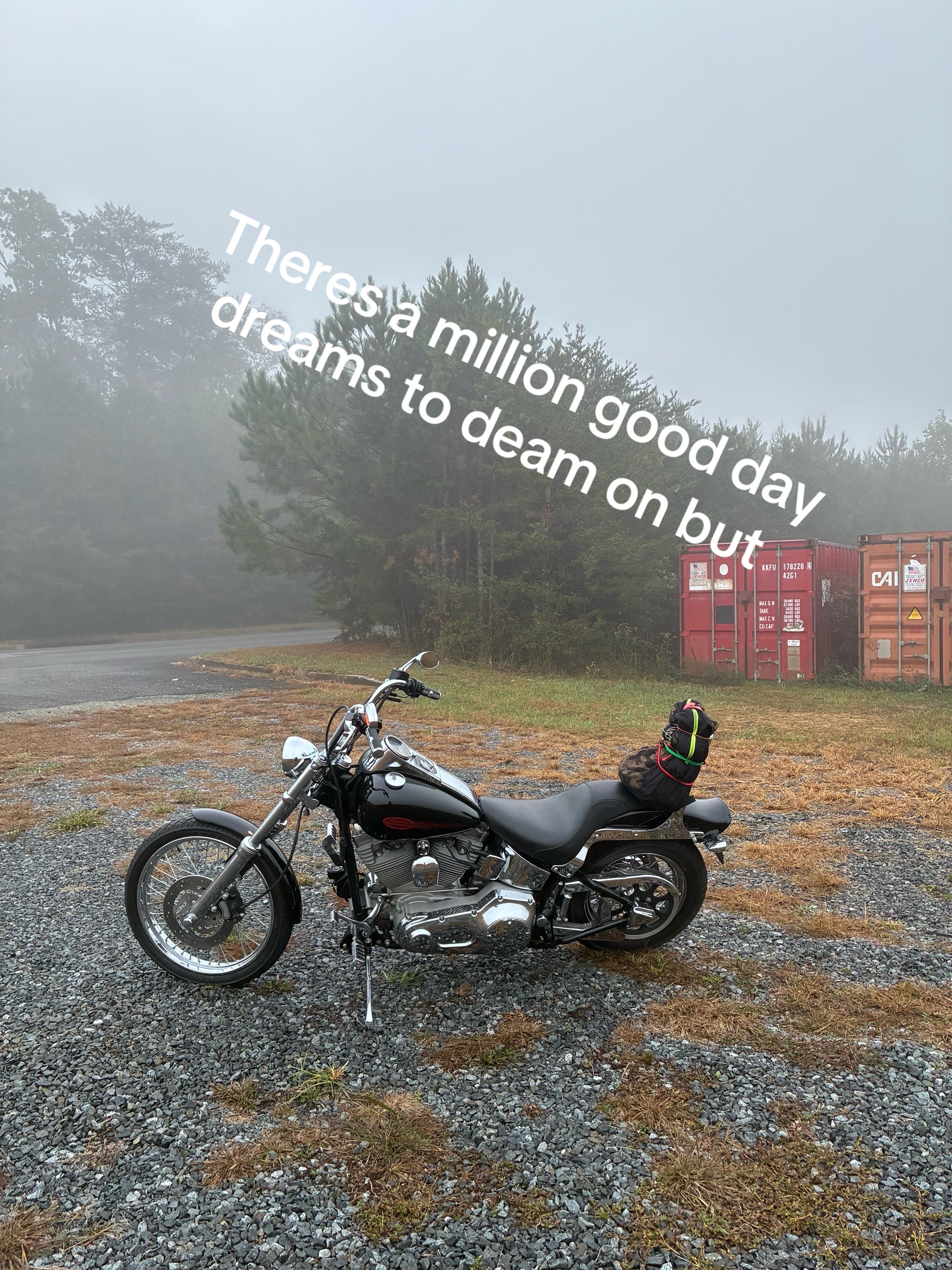 @Harley King