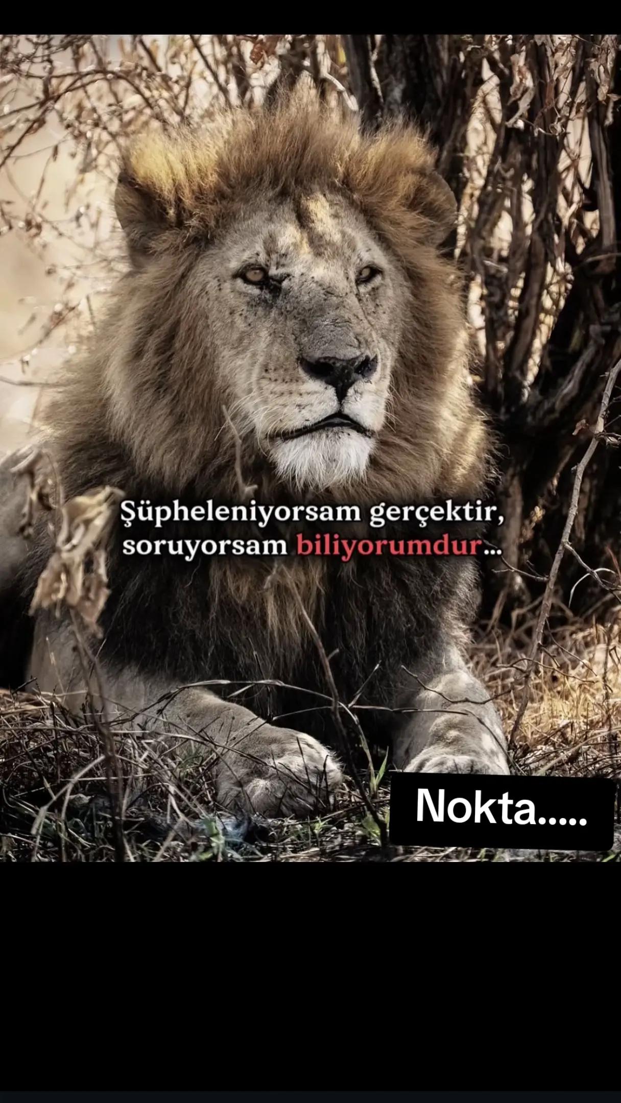 @ipeksi_şiirler hidaye