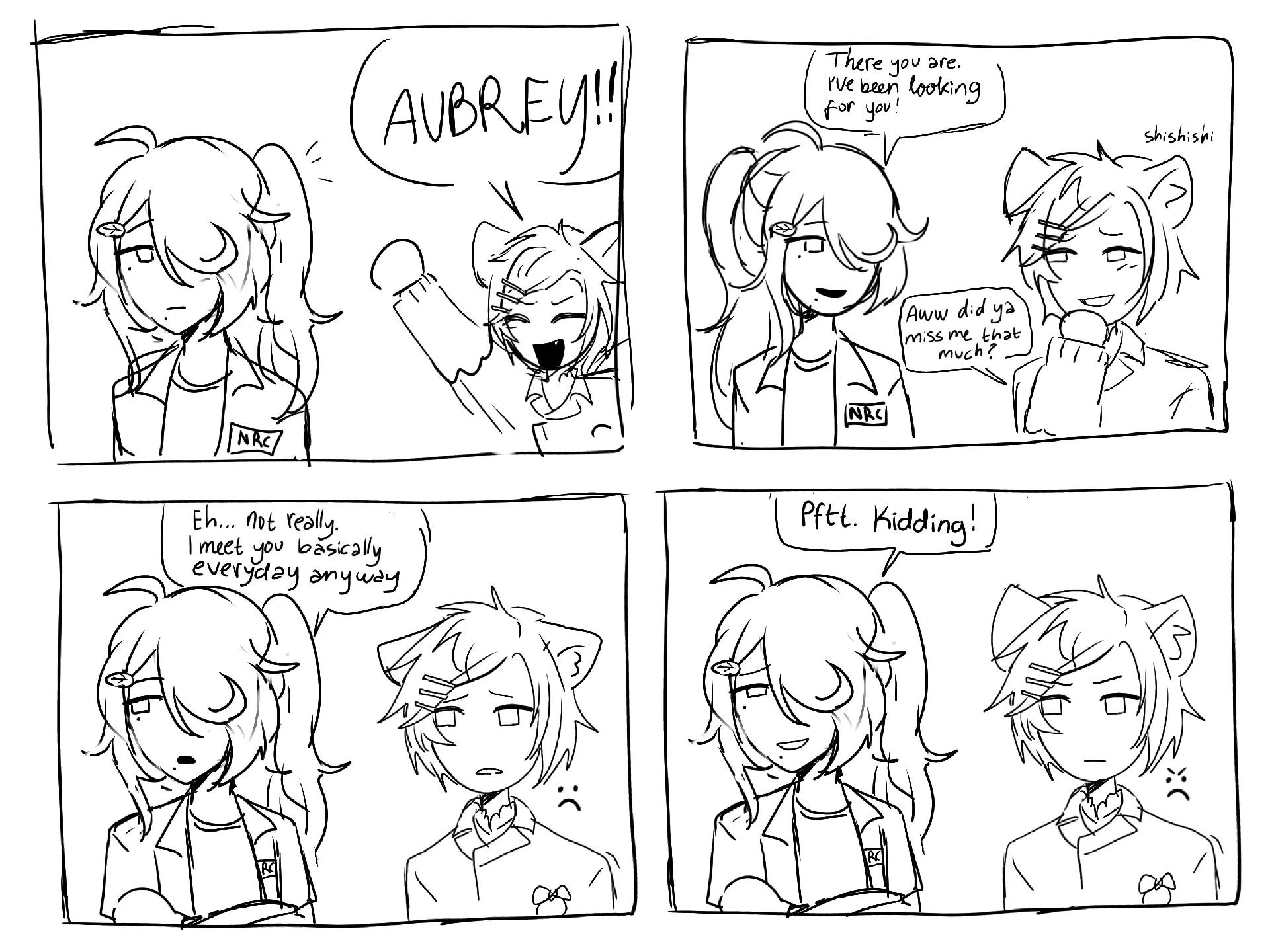 @nisa