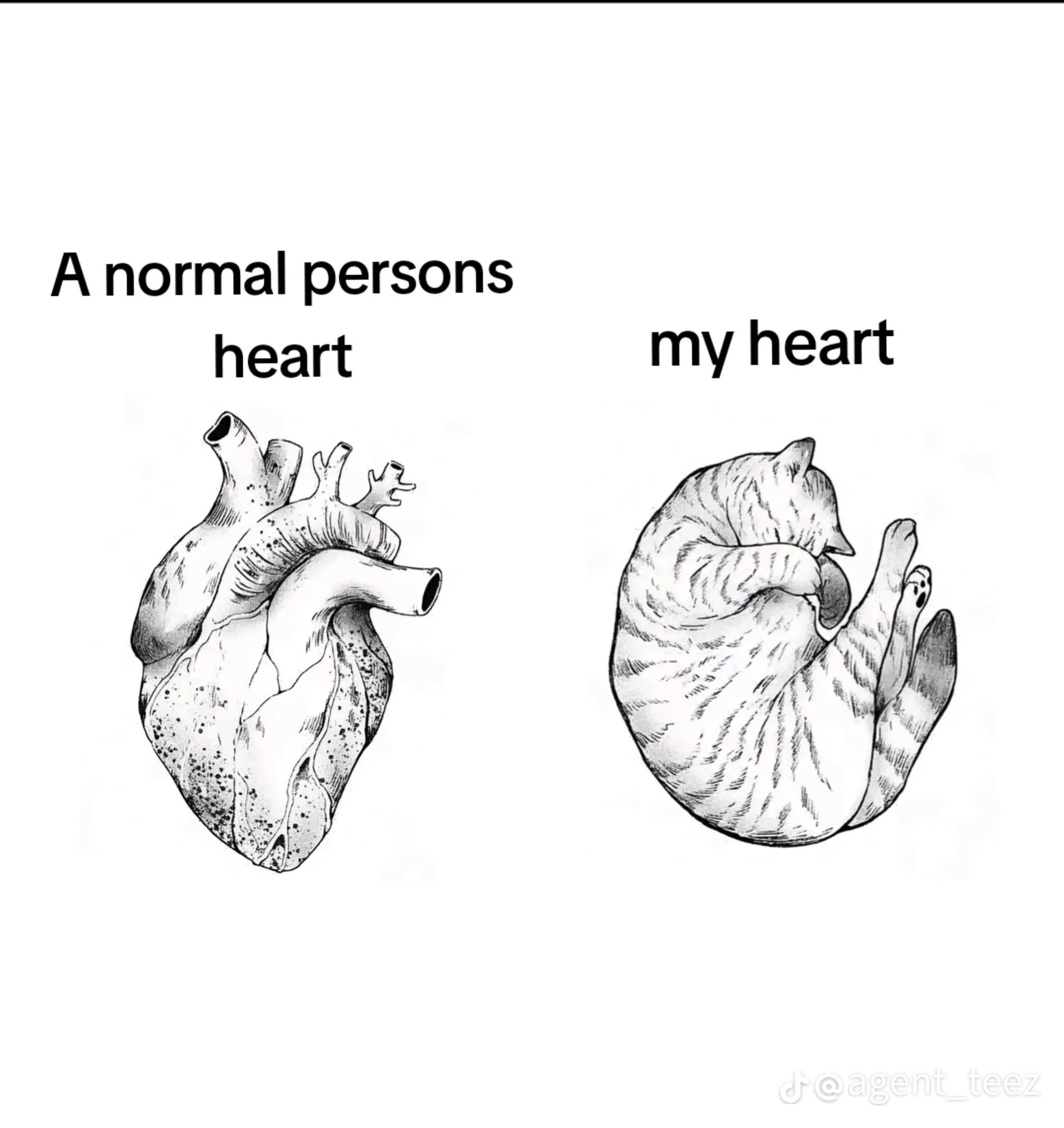 @❤️&zwj;🩹MAVAN❤️&zwj;🩹