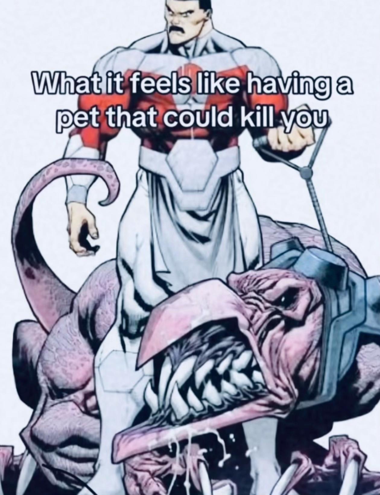 @kyra
