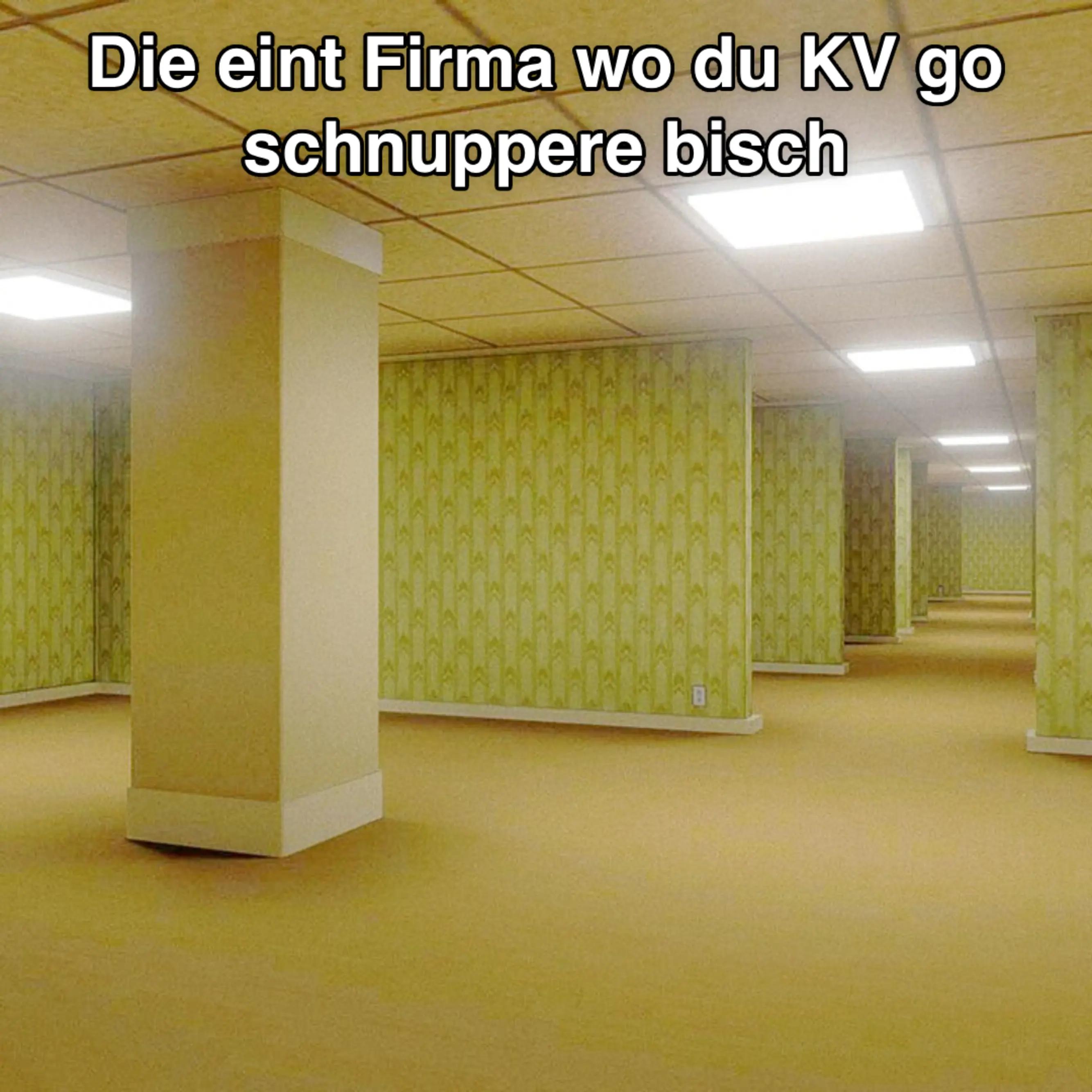 @hajdgenoss