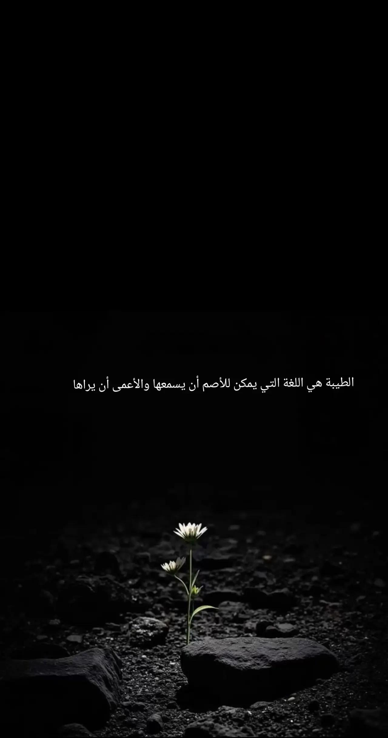 @نادر (NADER)