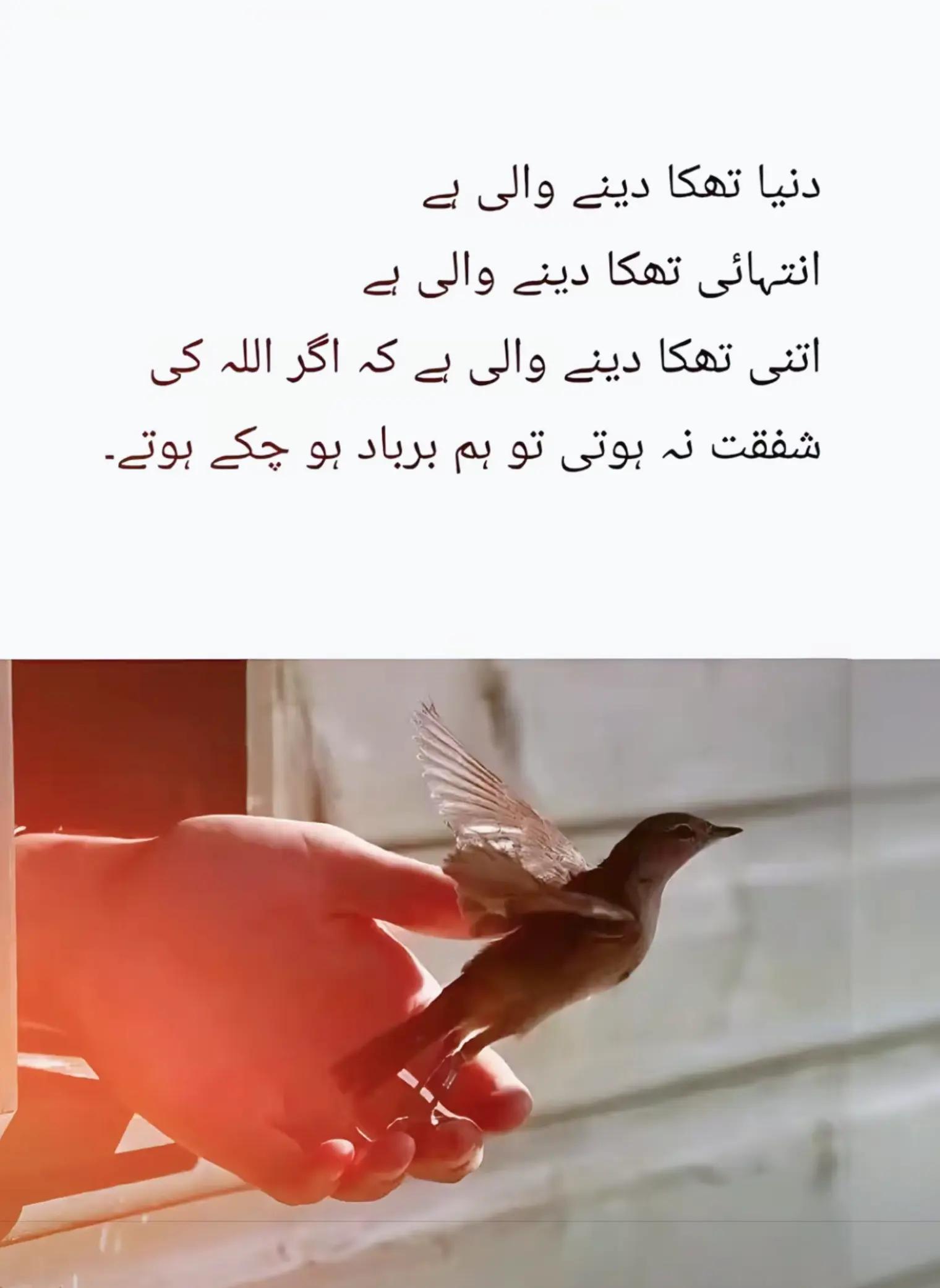 @Arsalan Ahmed (AA)
