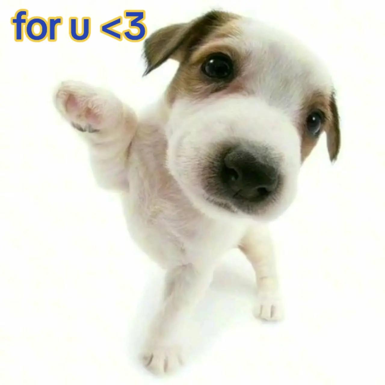 @ྀི✩˖𝓛𝓮𝓸🆖️⋆ྀི