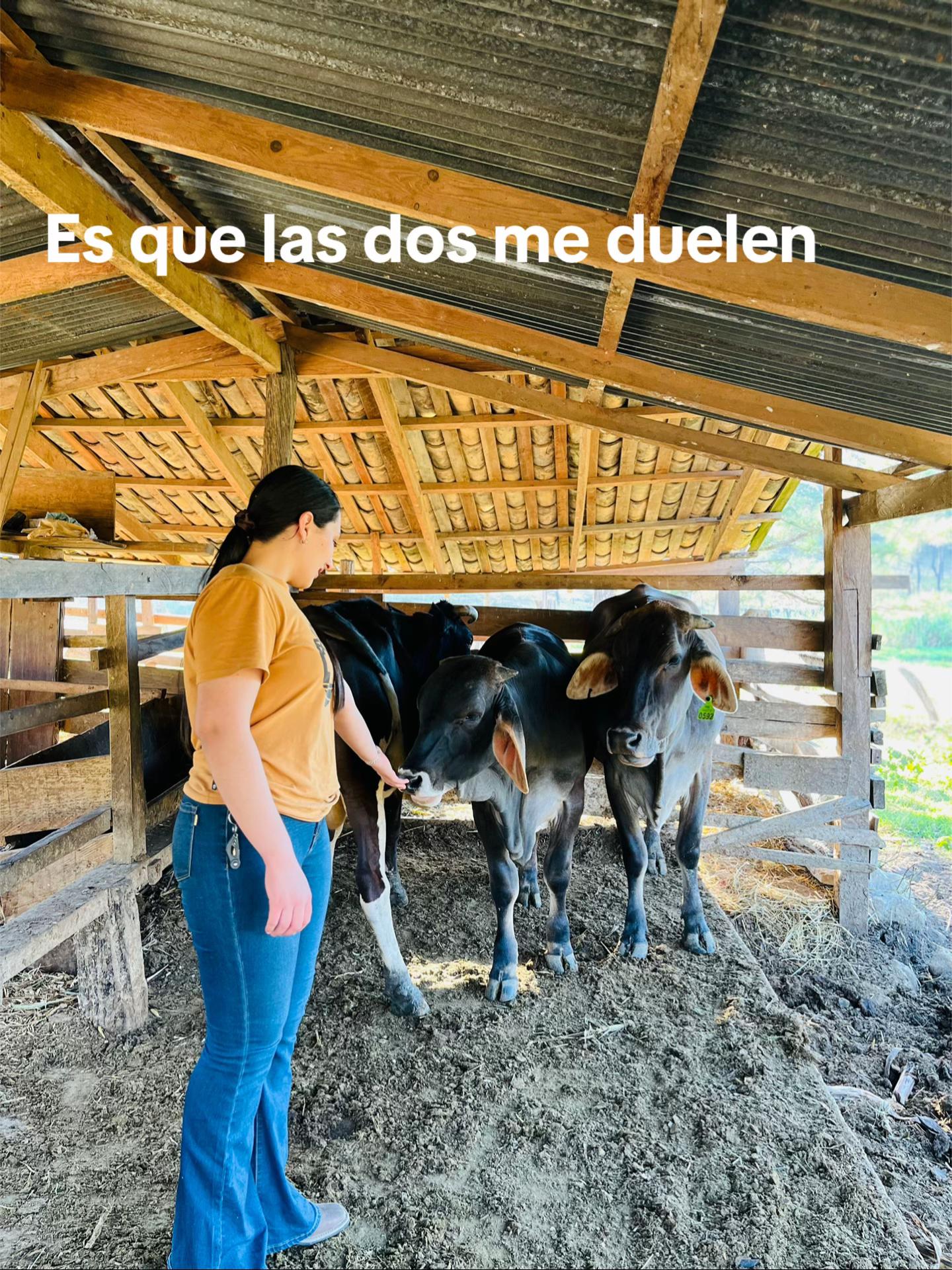 @Dianita👑
