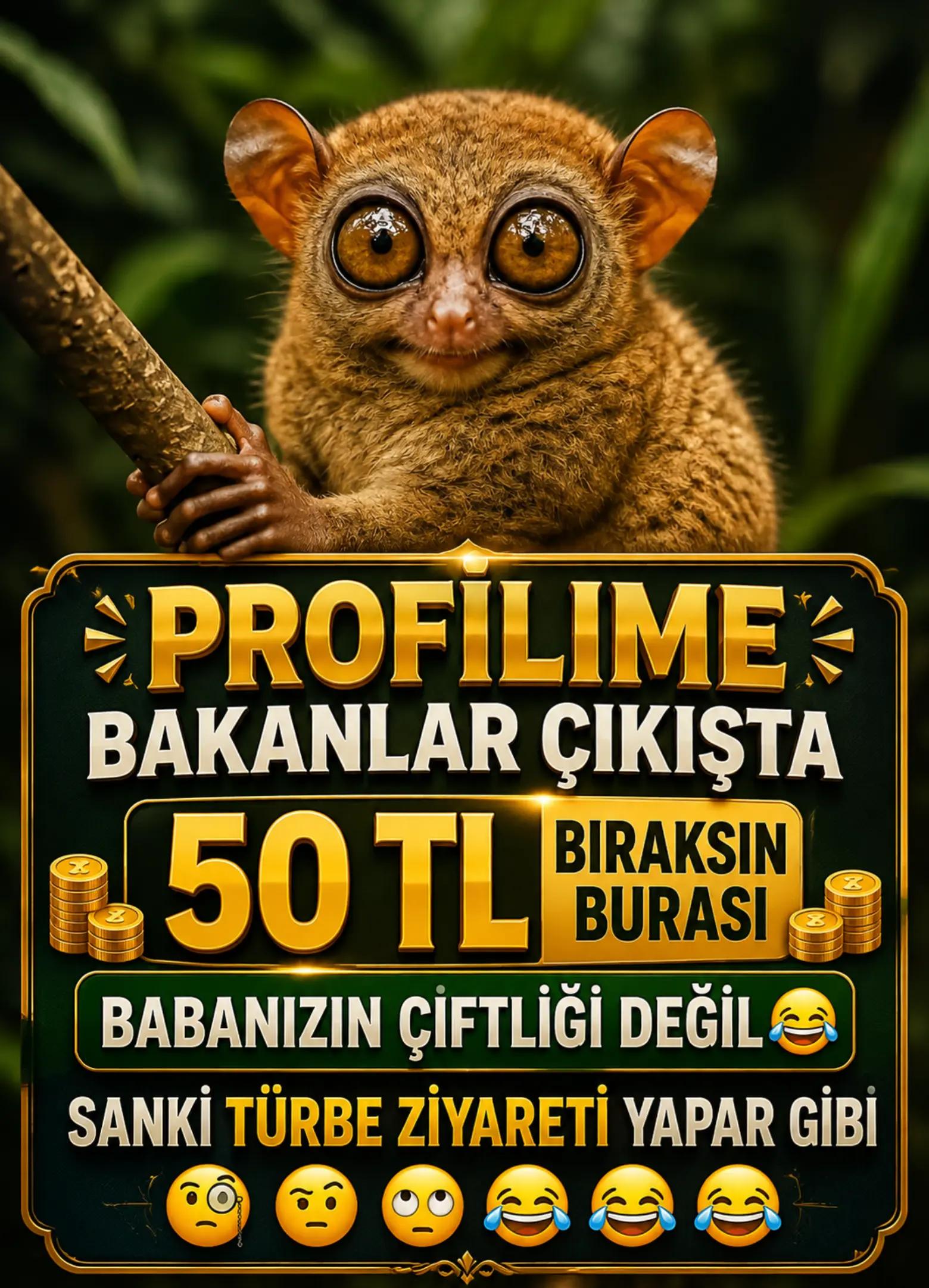 @Şenol Çelik