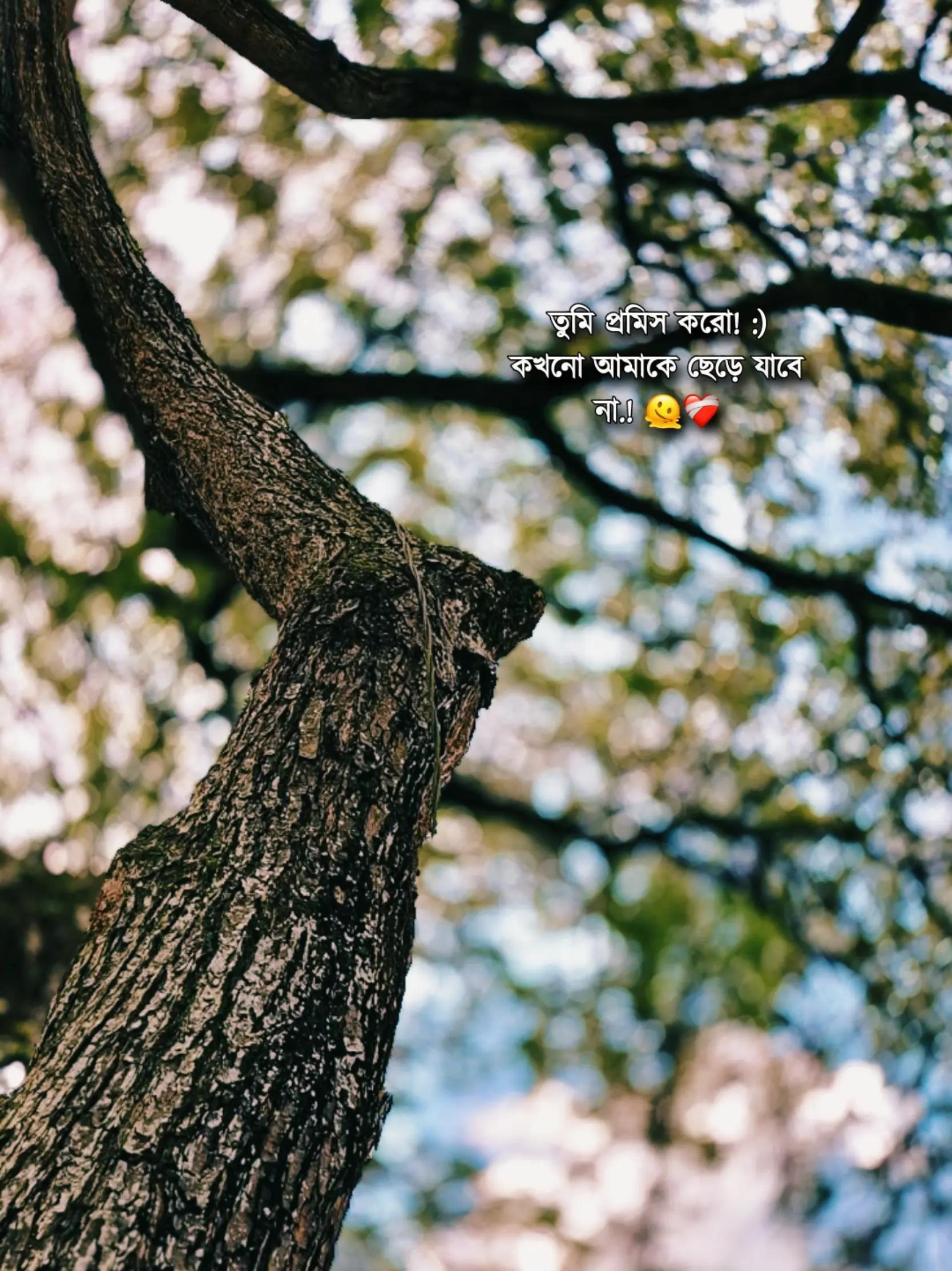 @&mdash;͞ʙᴏsᴏꪀ  !&iexcl;