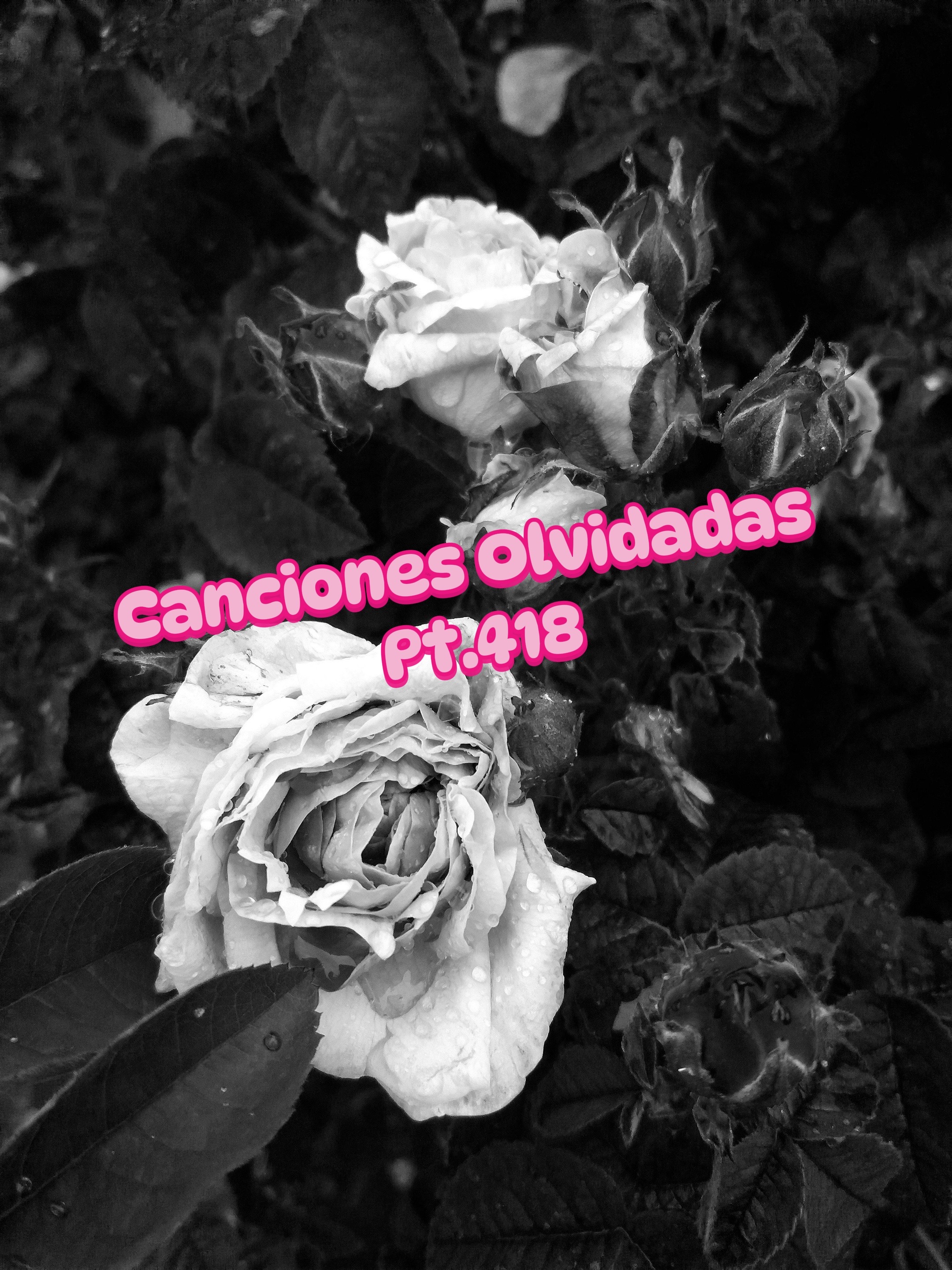 @TUDJJD