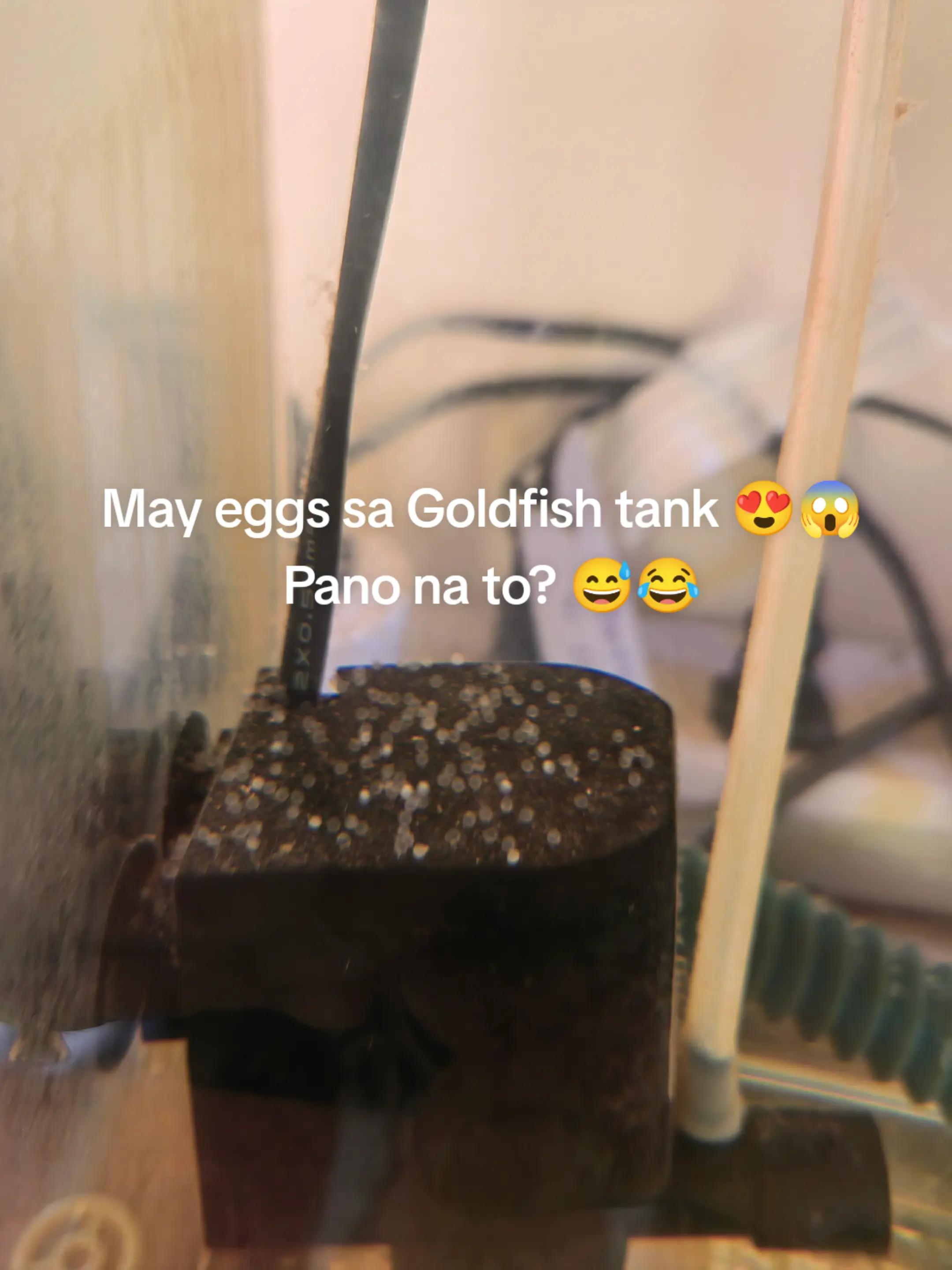 @🍀Khai🍀