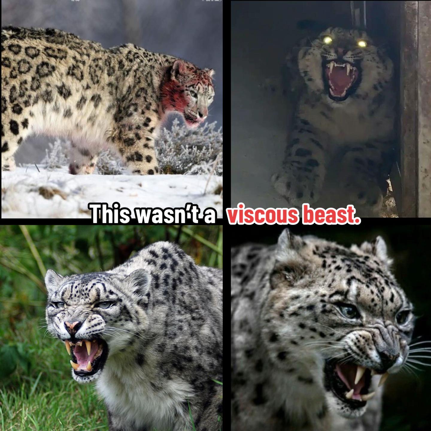 @ˁ῁̮ˀᴇsᴜᴛᴇʀᴜ⋆