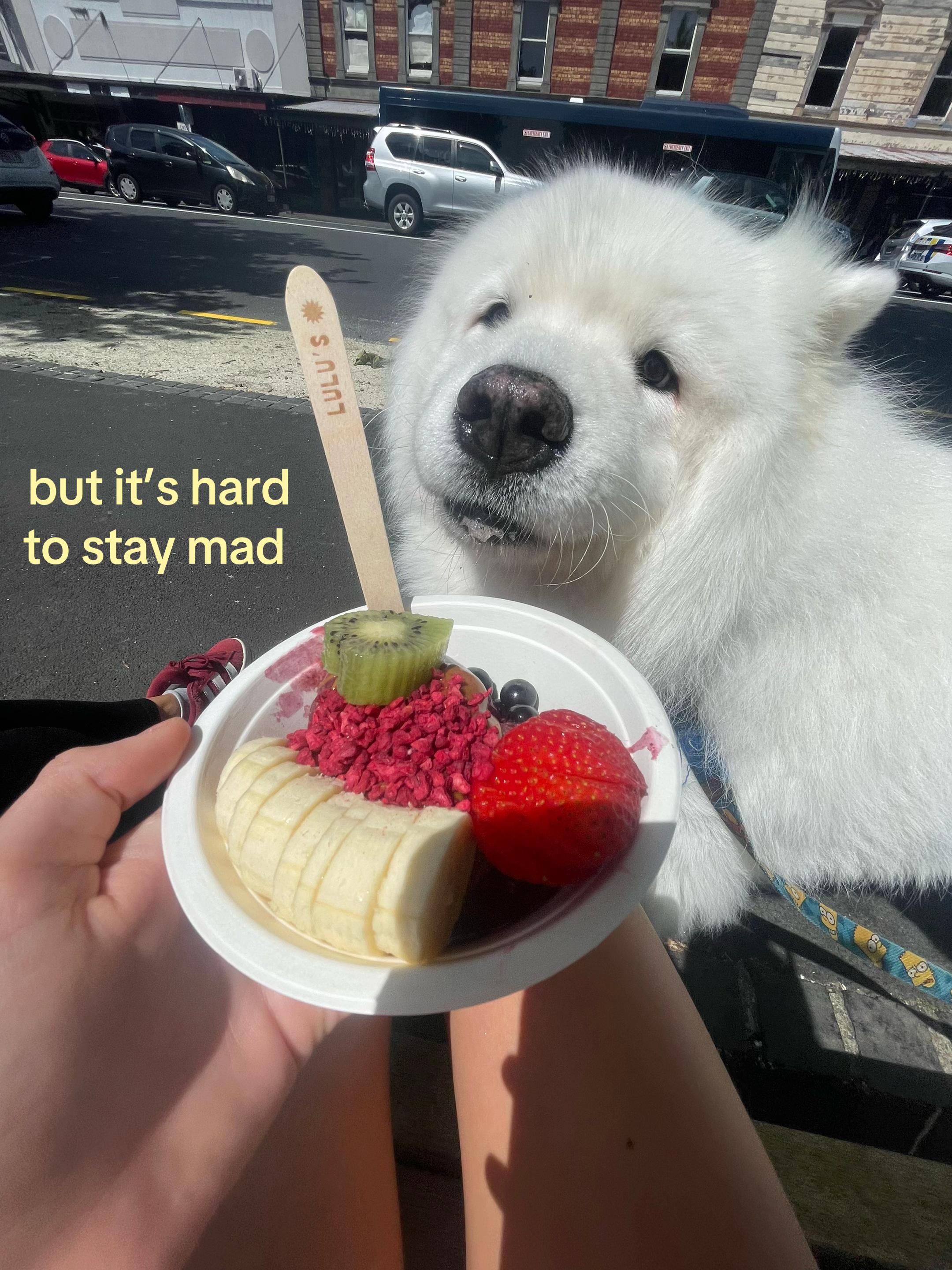 @Indie and Ben Boyce