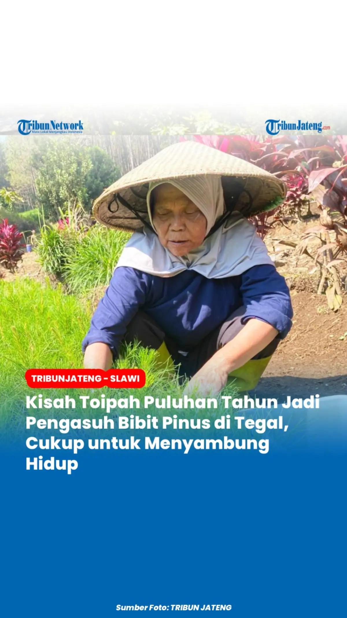 @Tribun Jateng