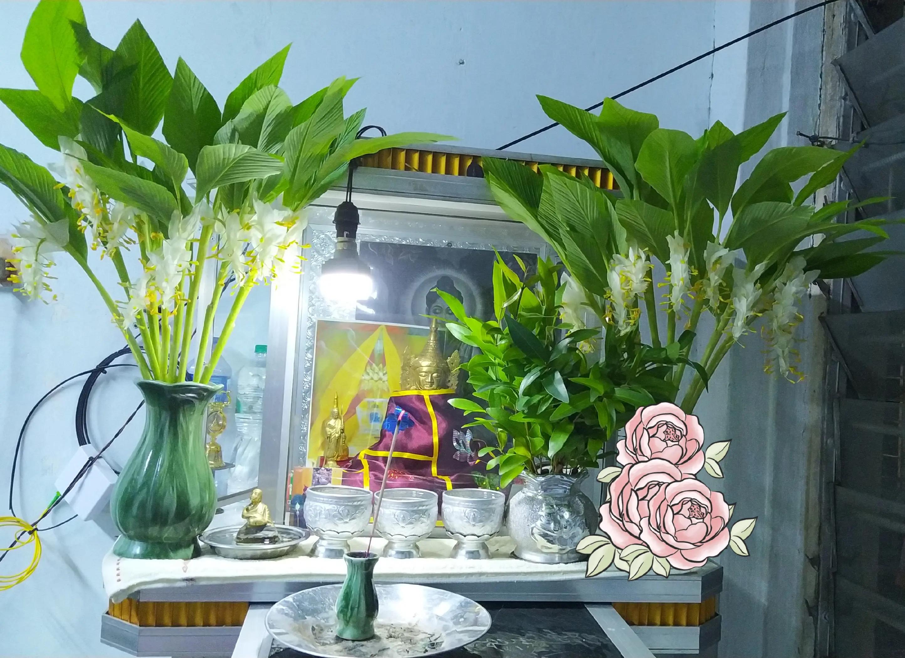 @Aura Bloom