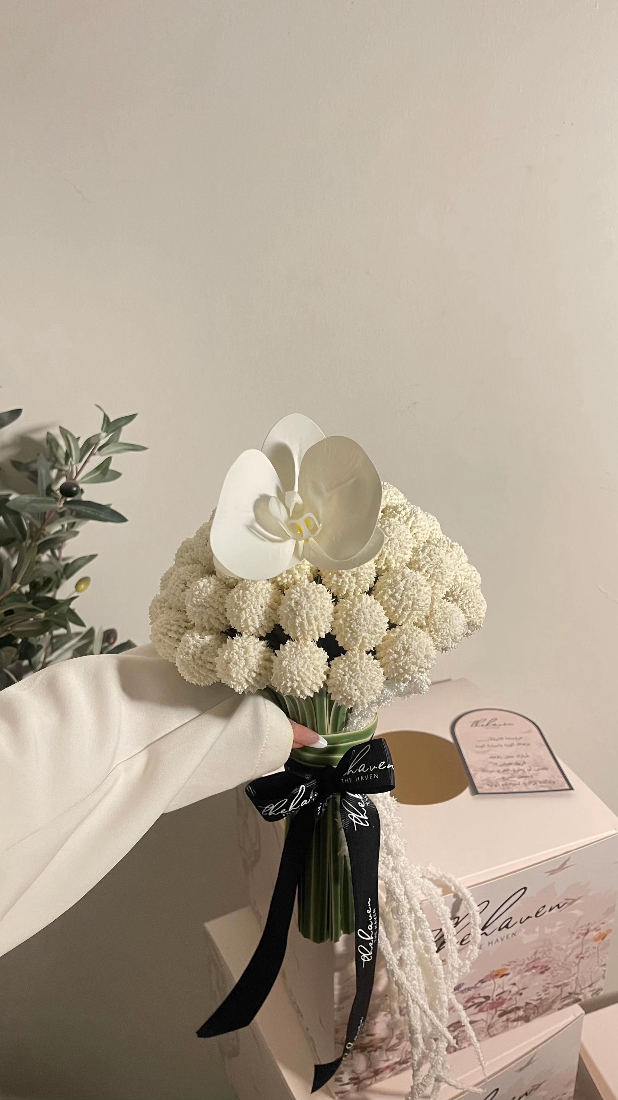 @HAVEN | هيفن