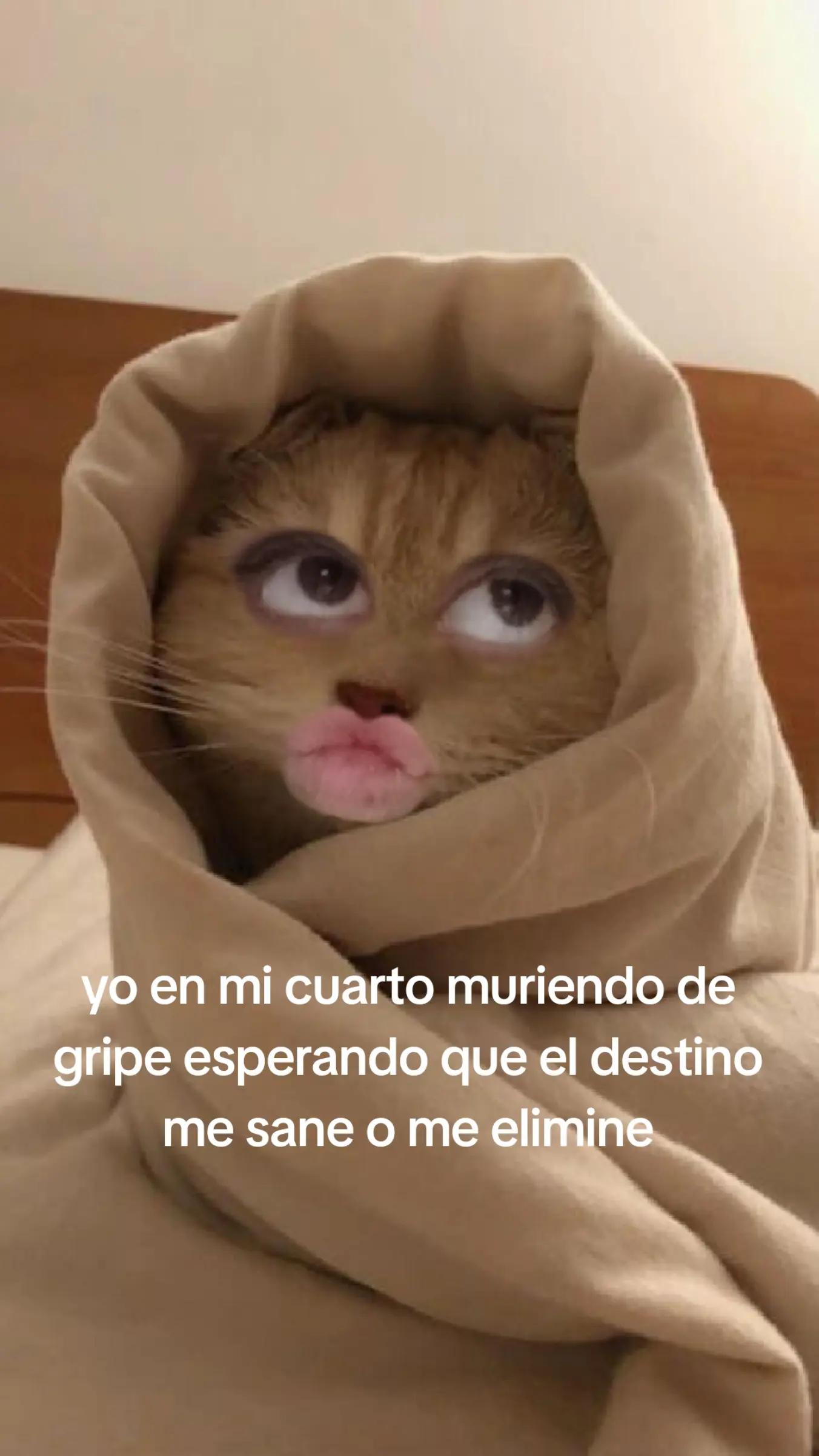 @Paula Rocio