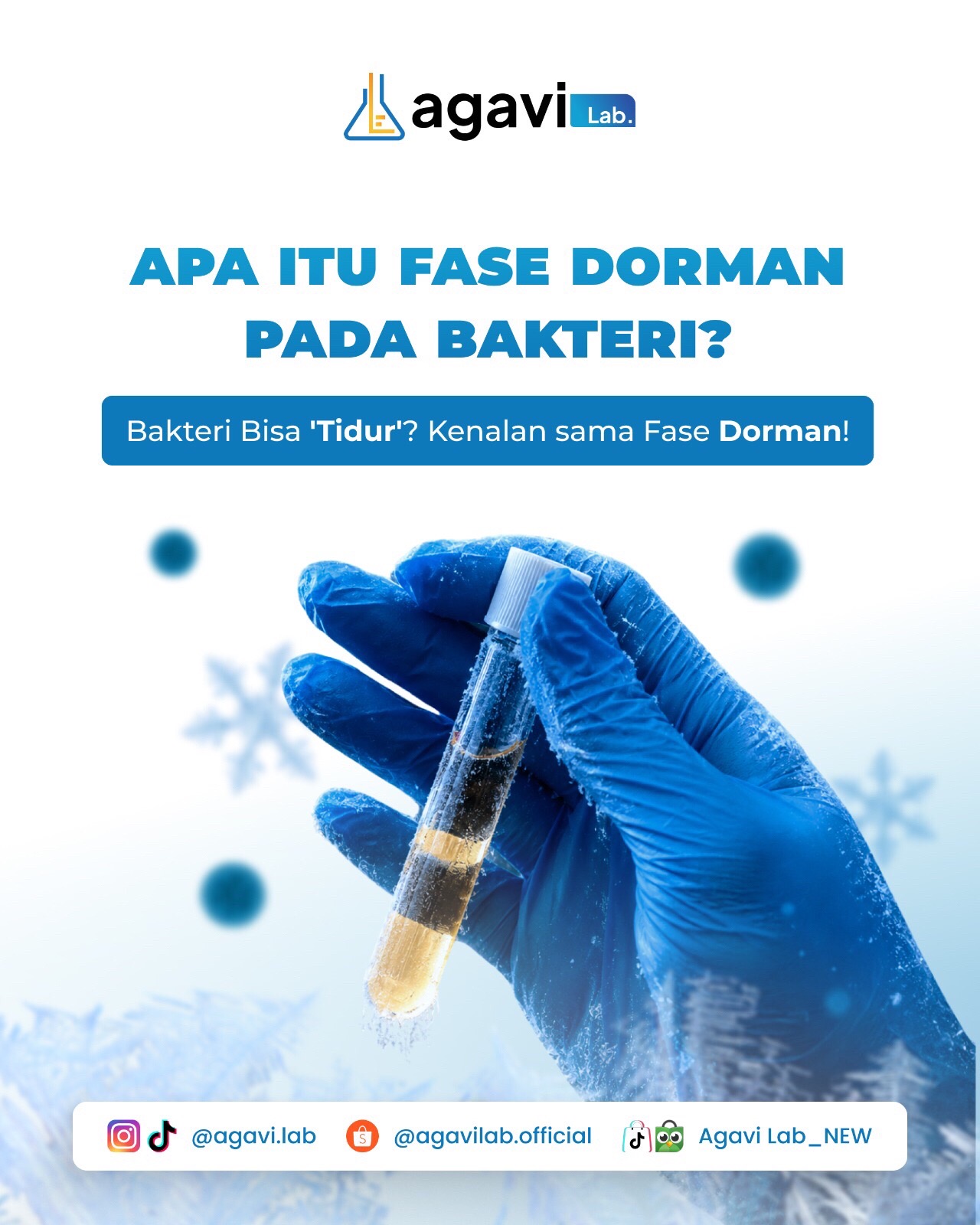 @Agavi Lab