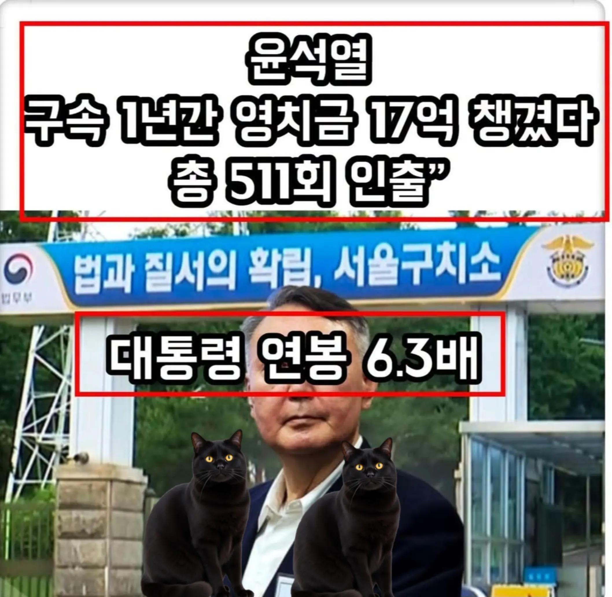 @🌺시라소니[본]🌺