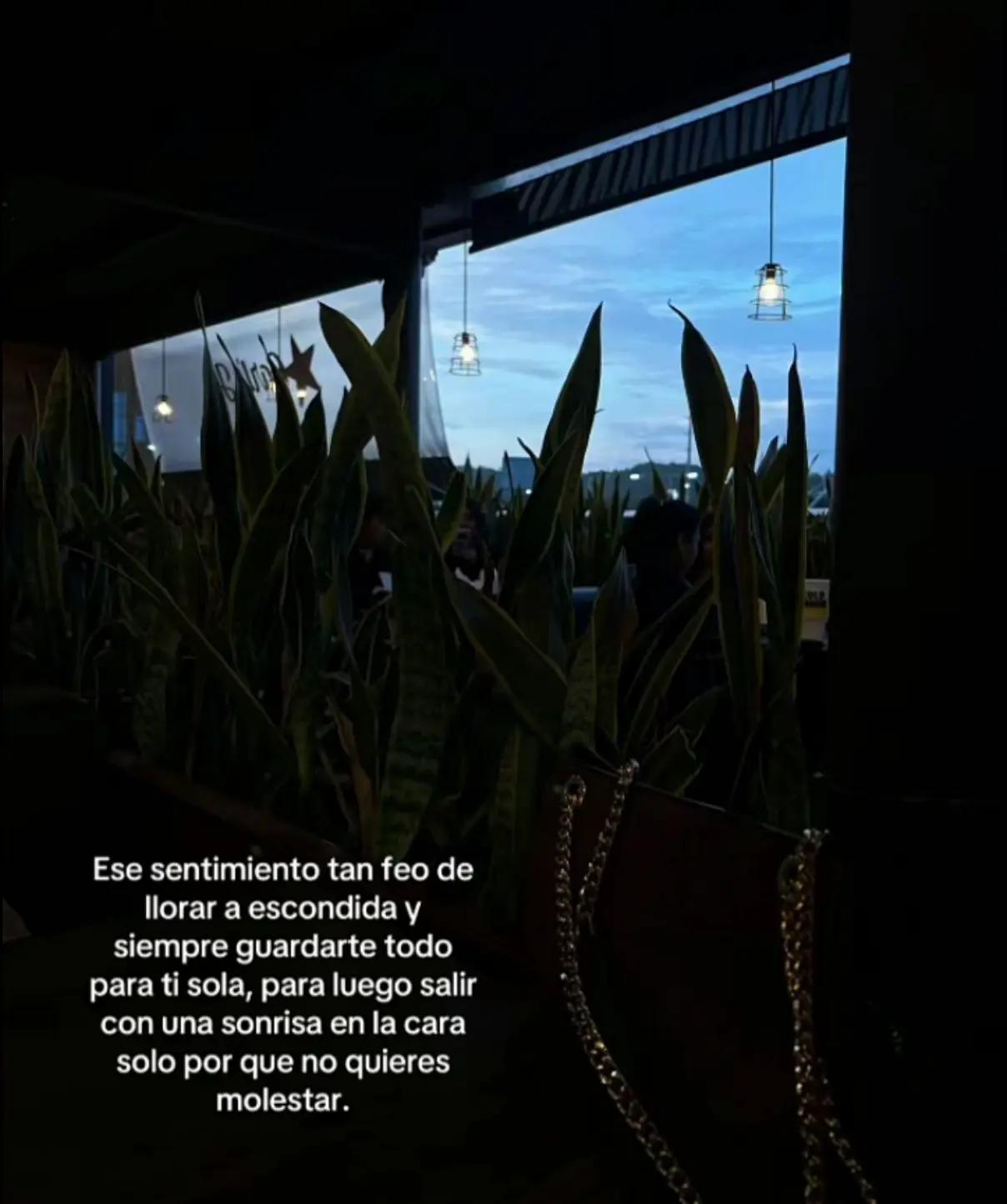 @Angii Álvarez