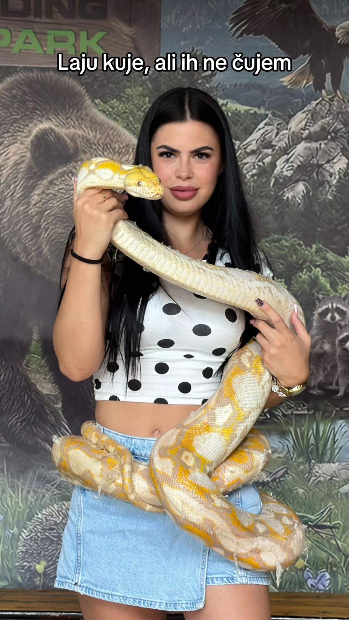 @Chikorita