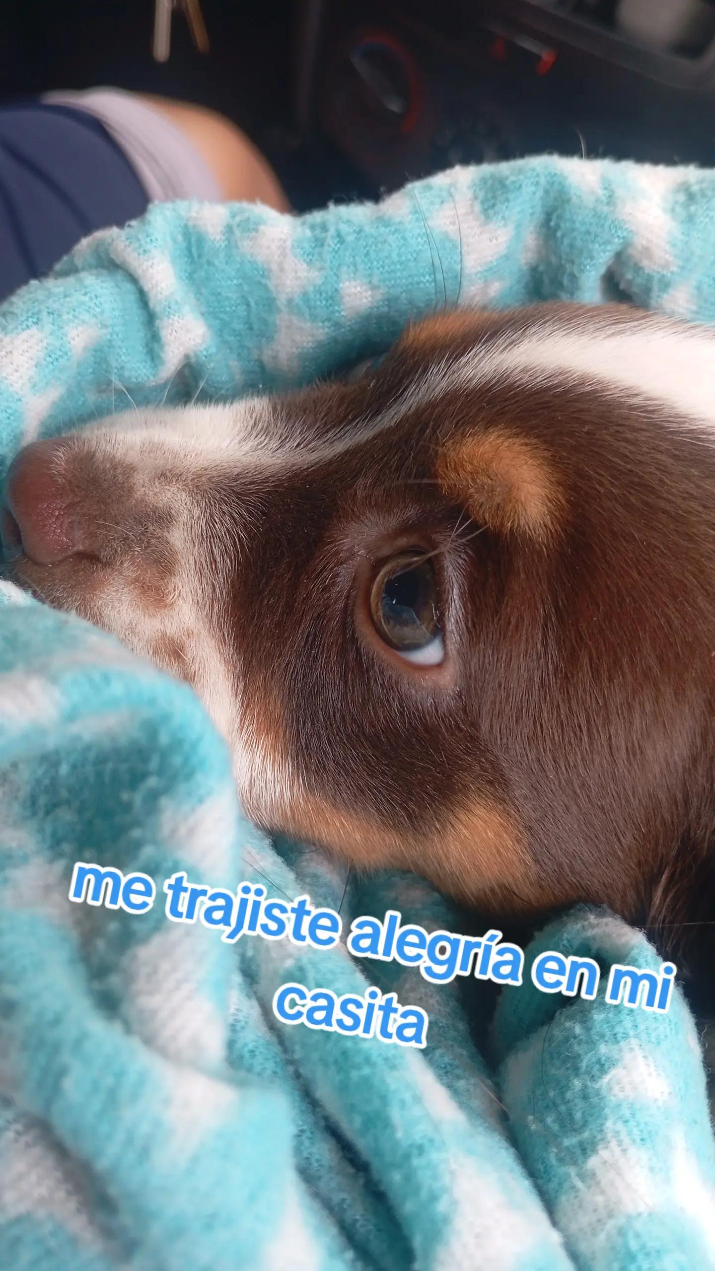 @Gutiérrez 🧹