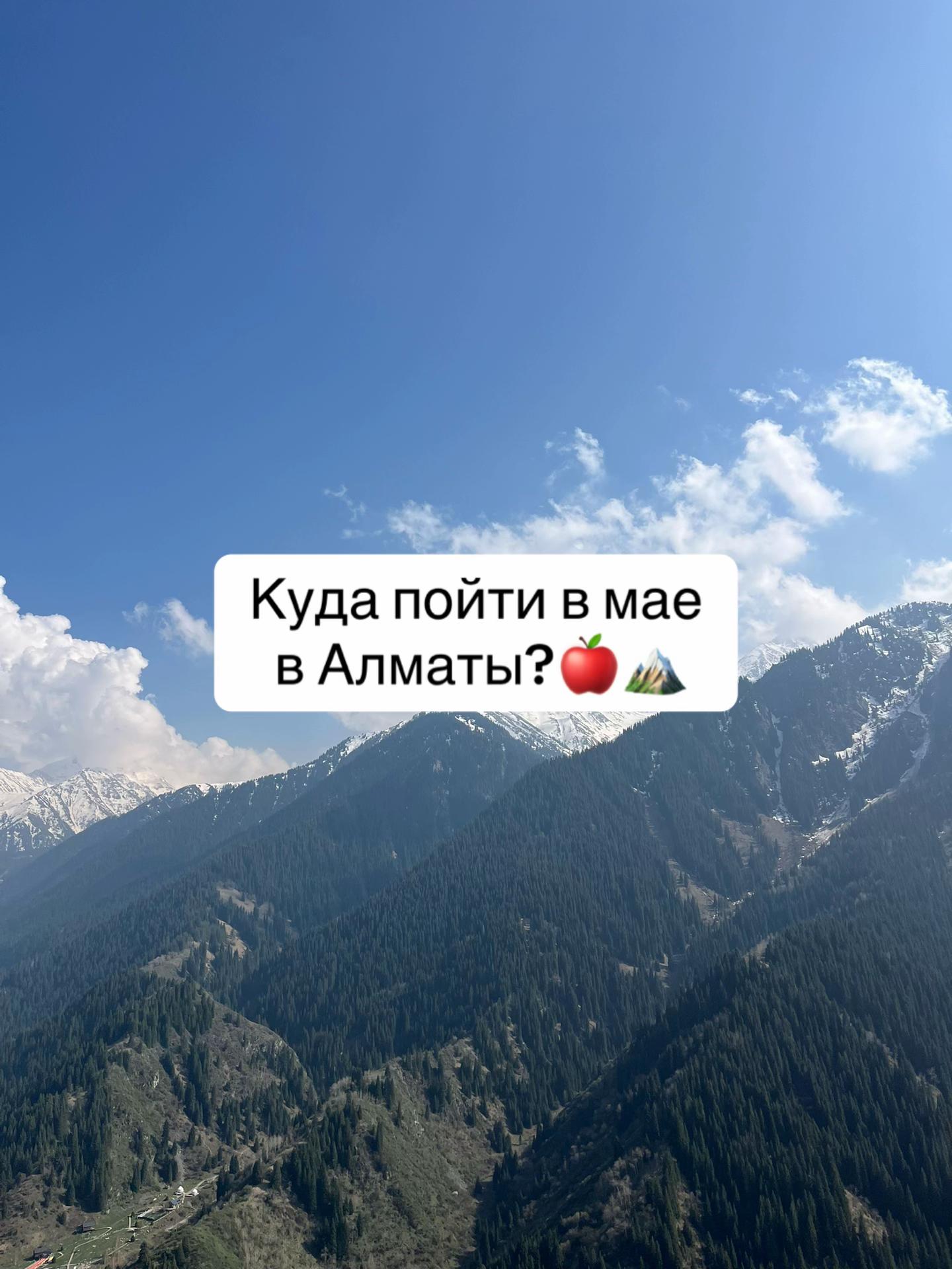 @demalu.diary