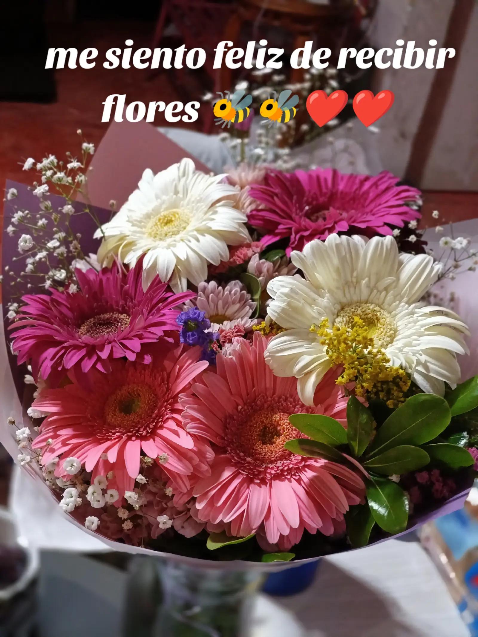 @Joselyn Santos