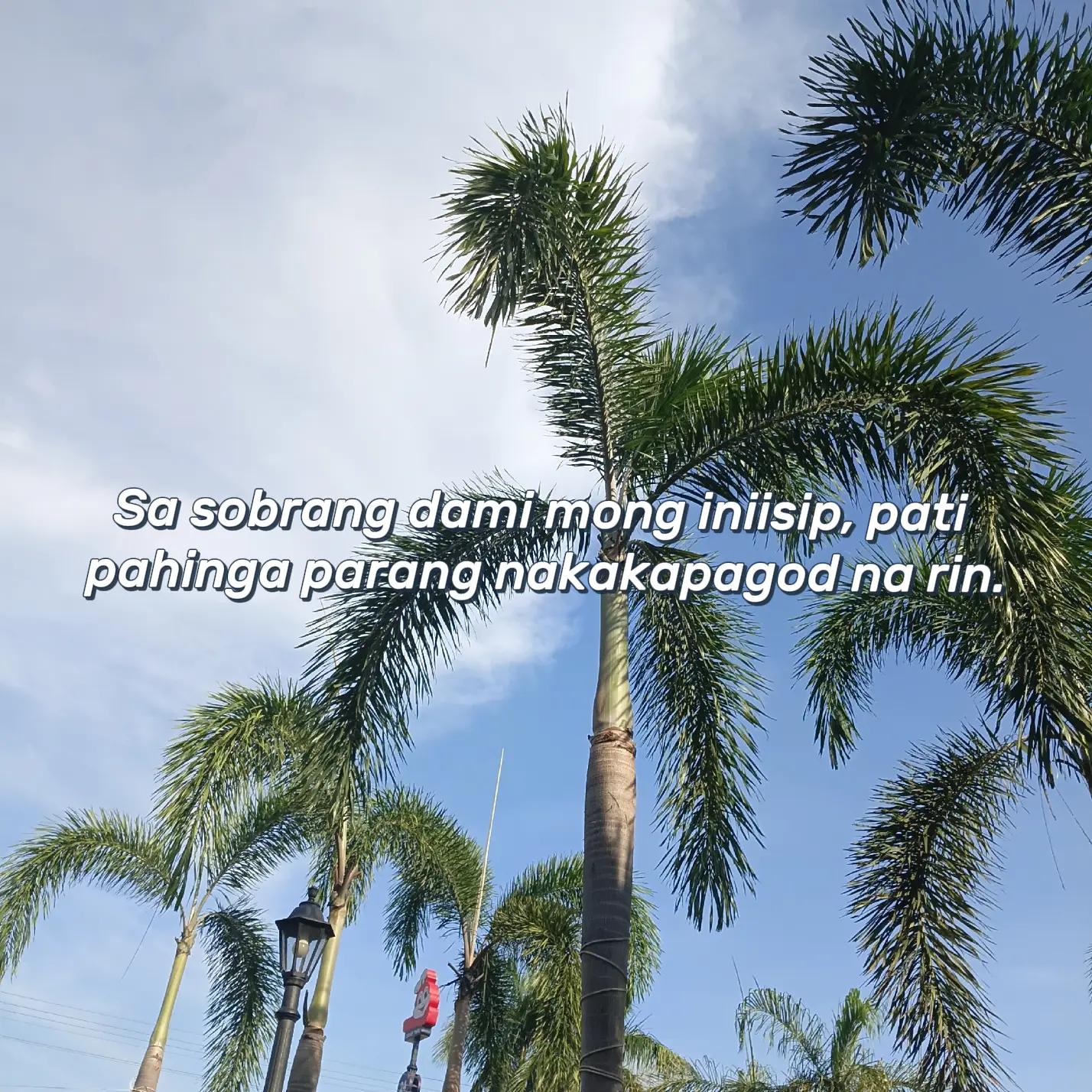 @ruth savelife