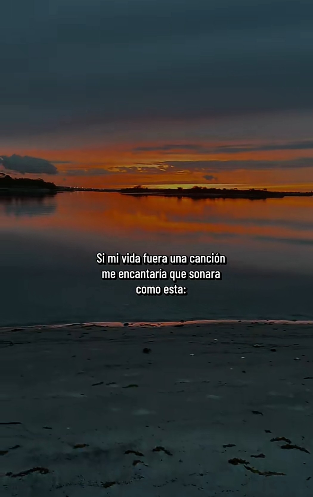 @Andre🌻