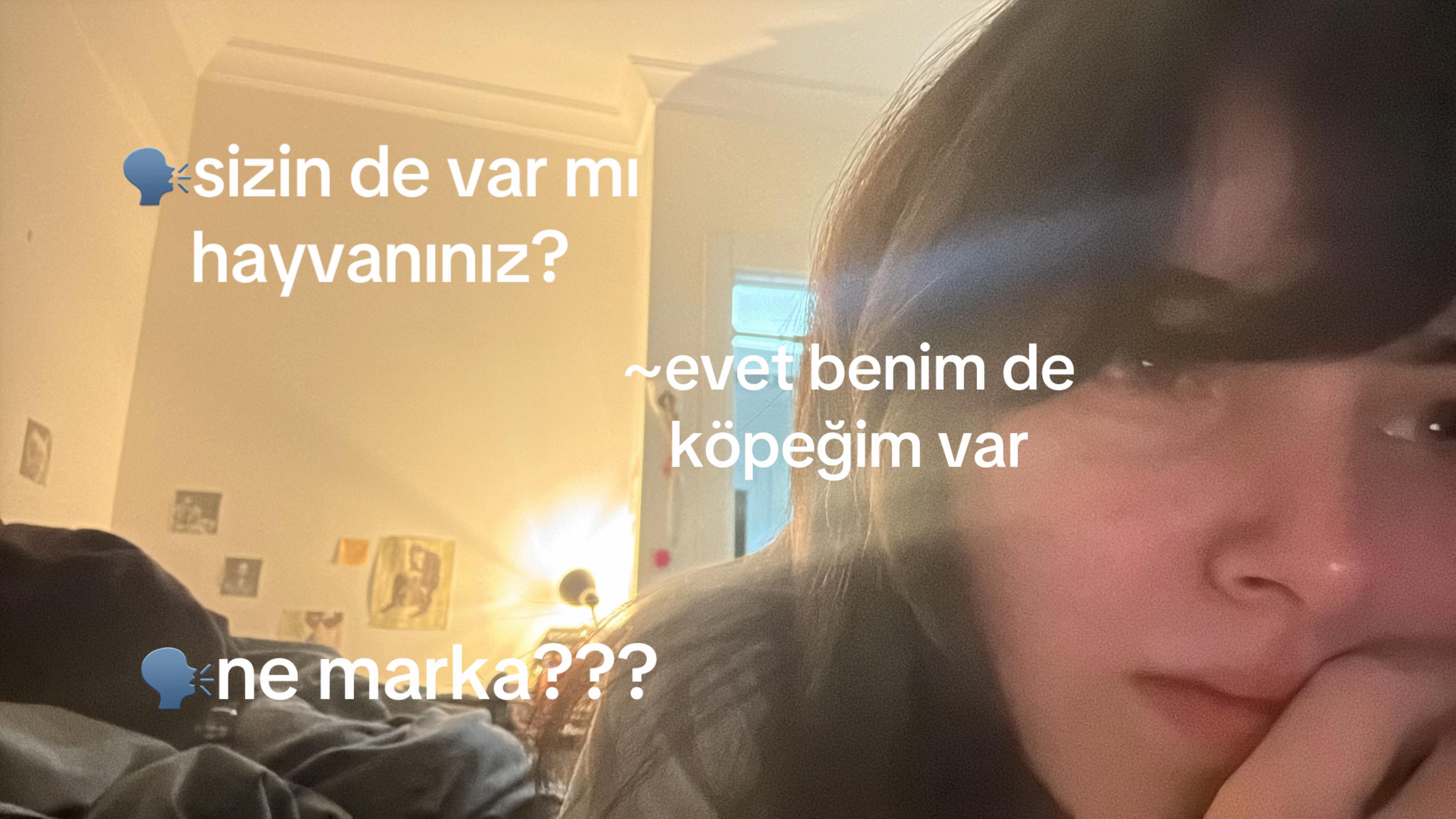 @leyli🪭