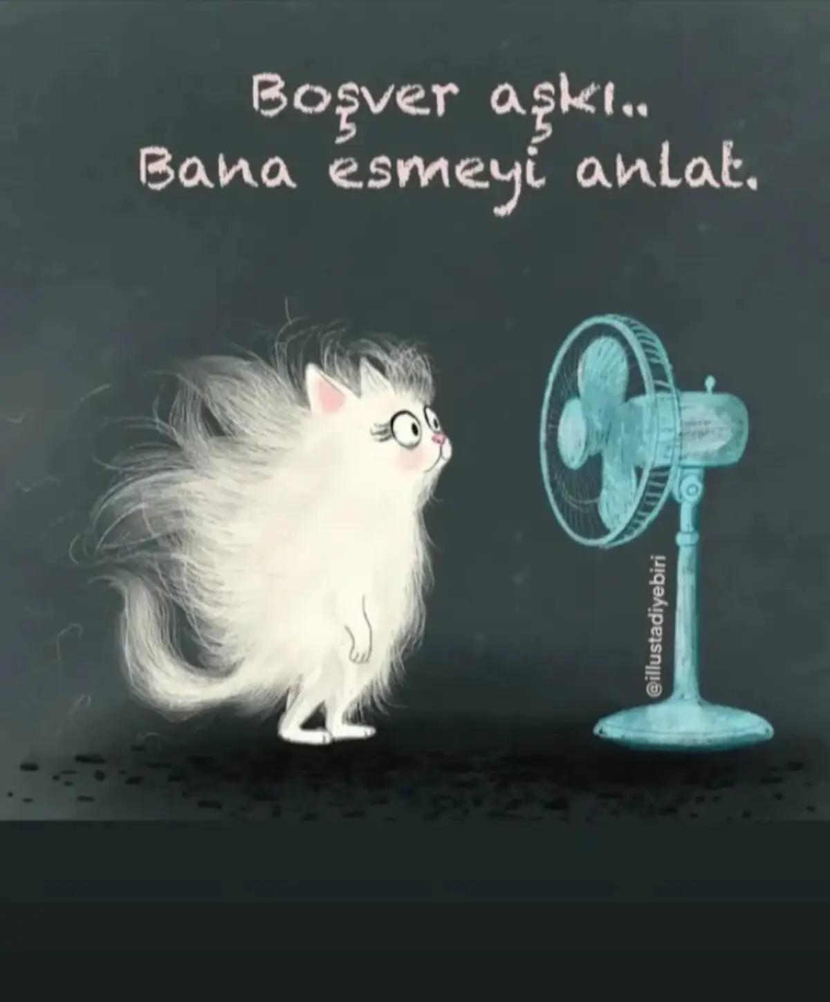 @Ramoo37
