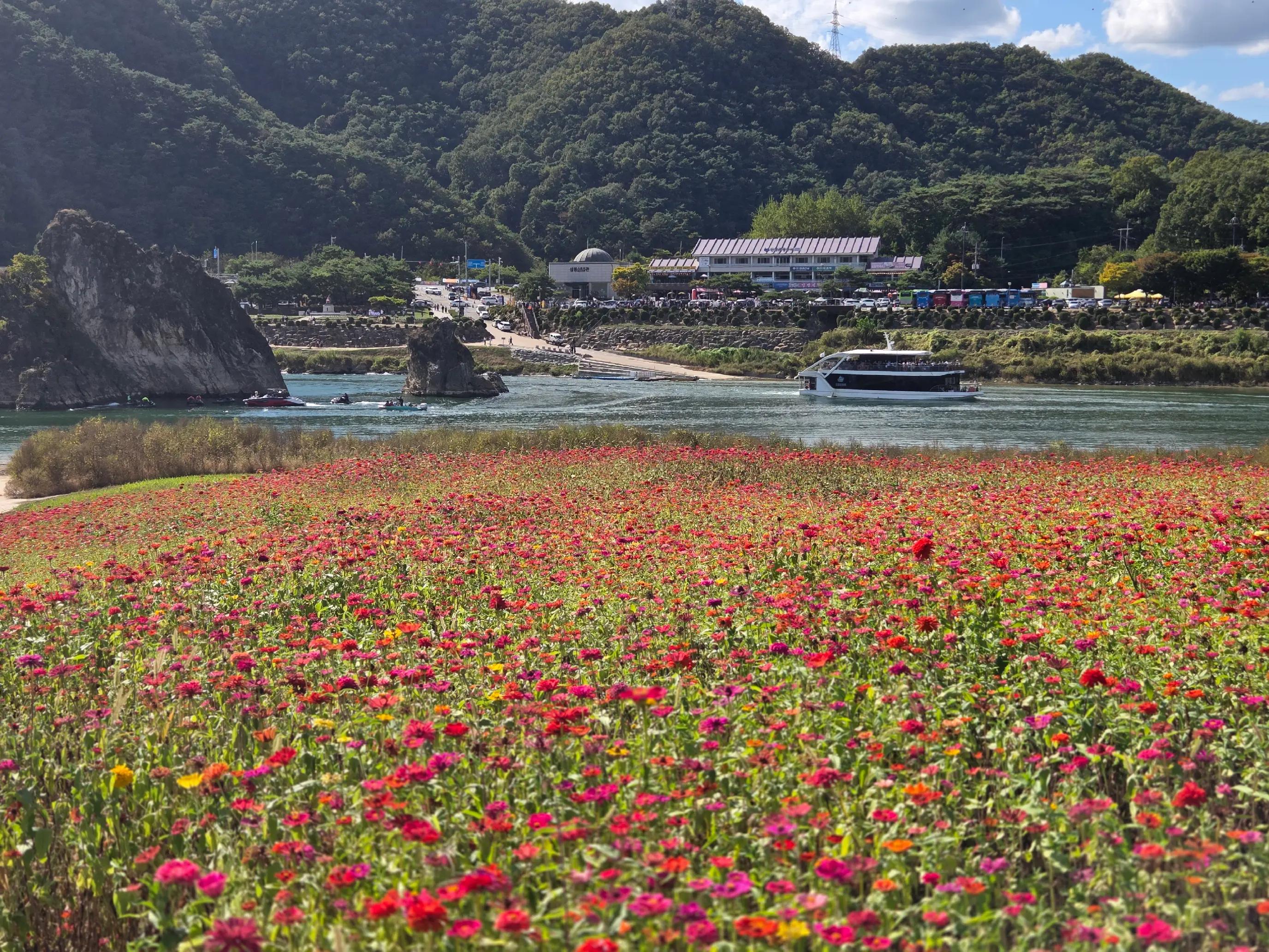 @법무사