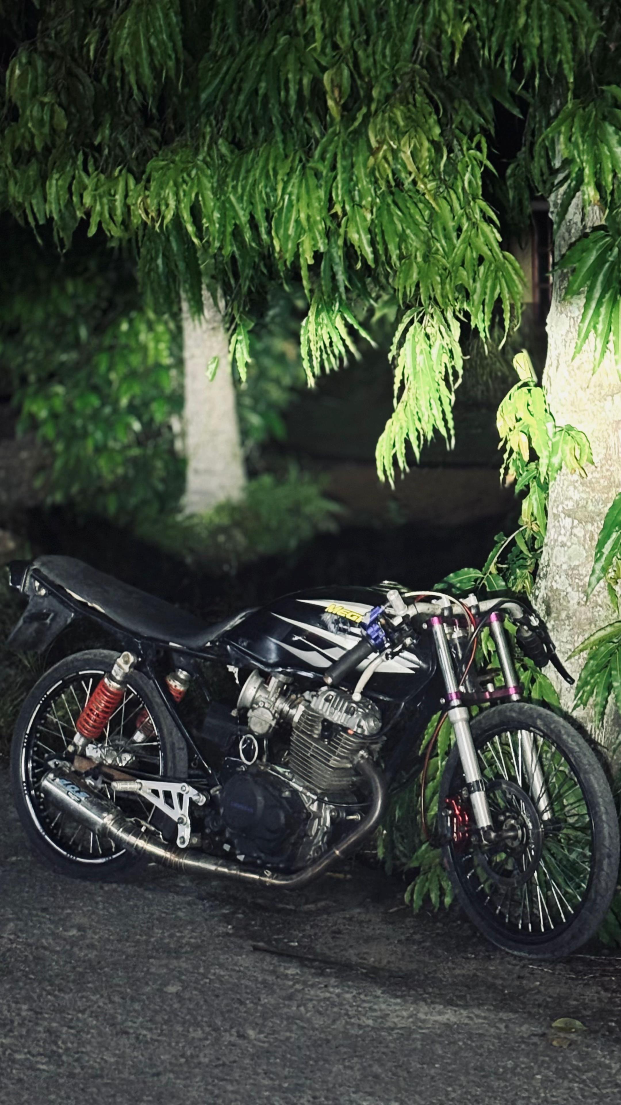 @129Haris