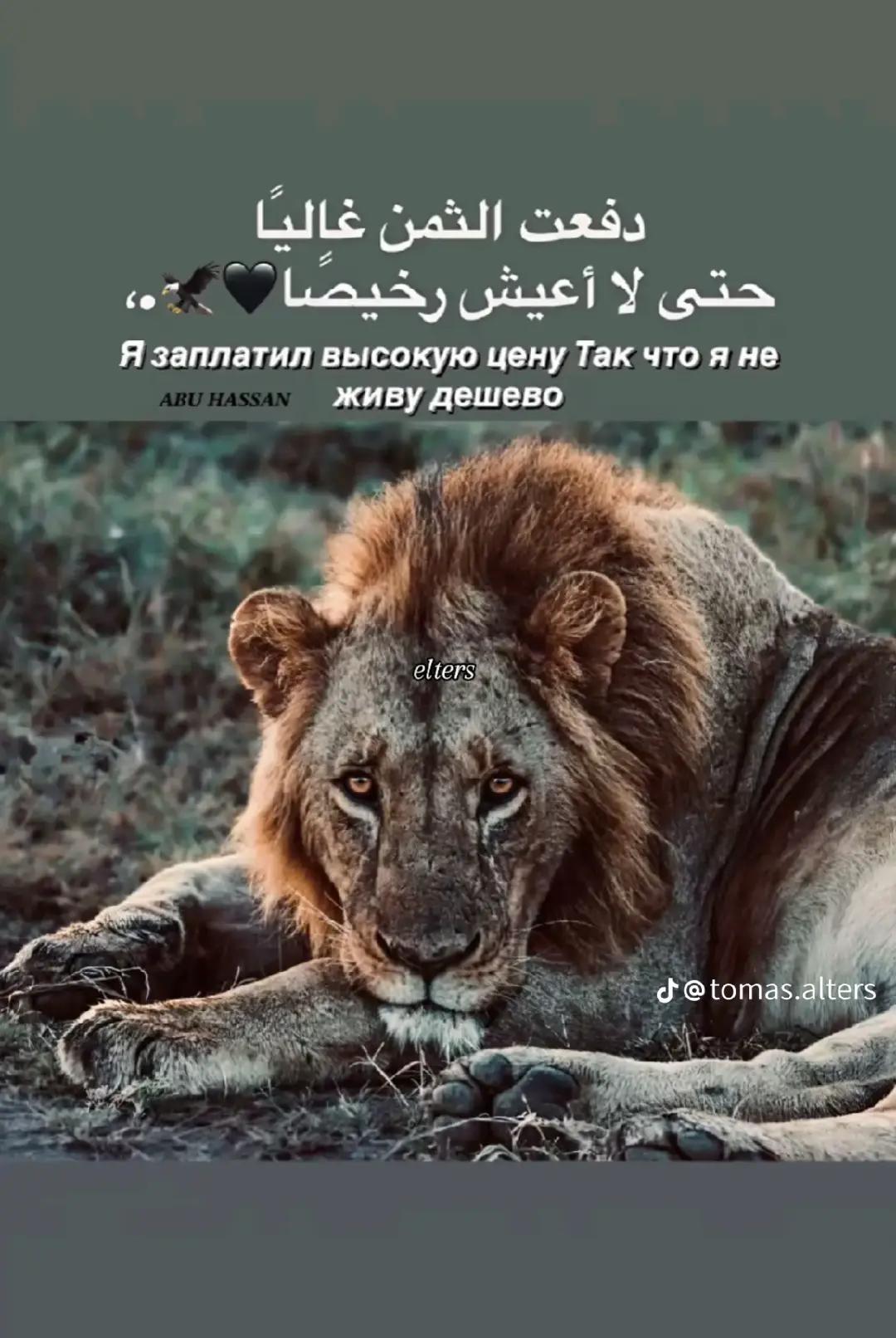 @اوكـــــــــا ابو قلب ابيض 🤍