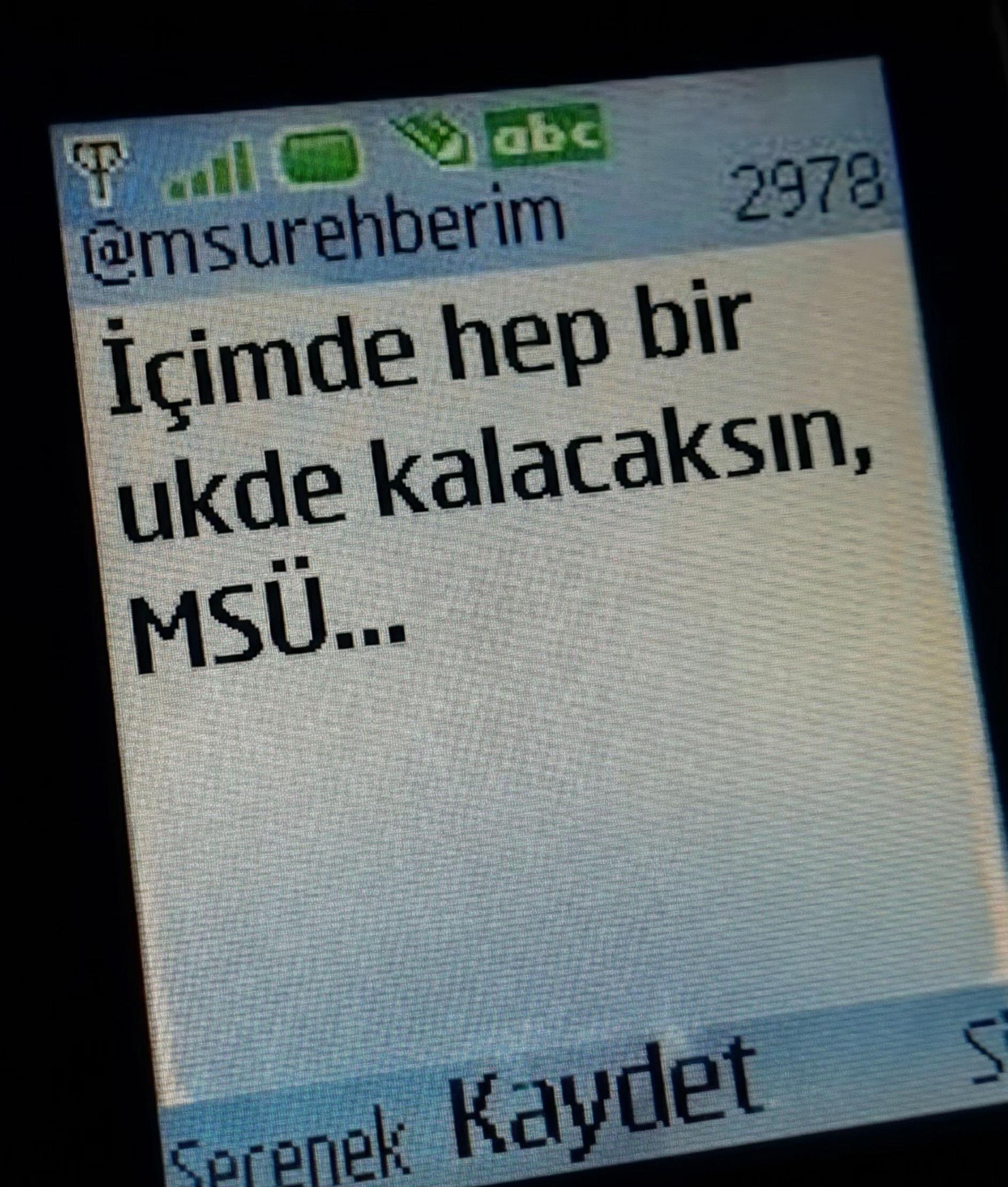 @msu.rehberim