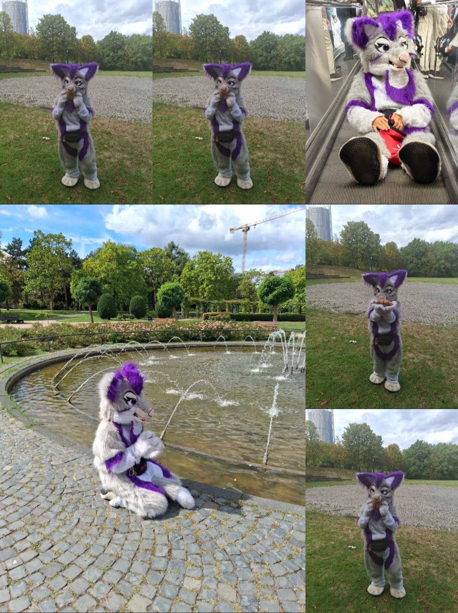 @Stella_and_furry_MFL_