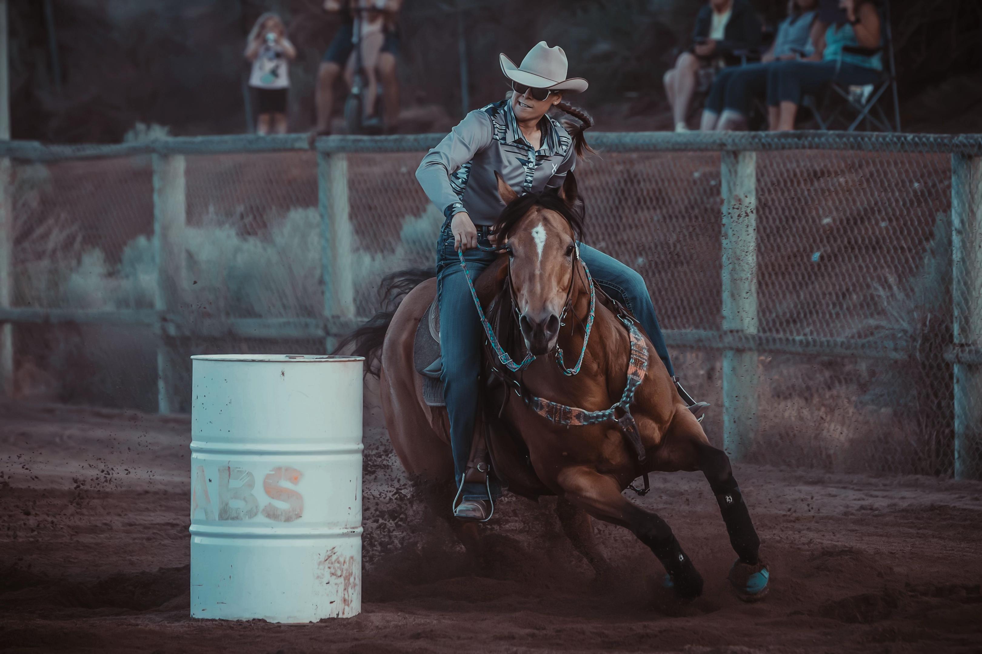 @Diamond W Barrel Horses 🇨🇦