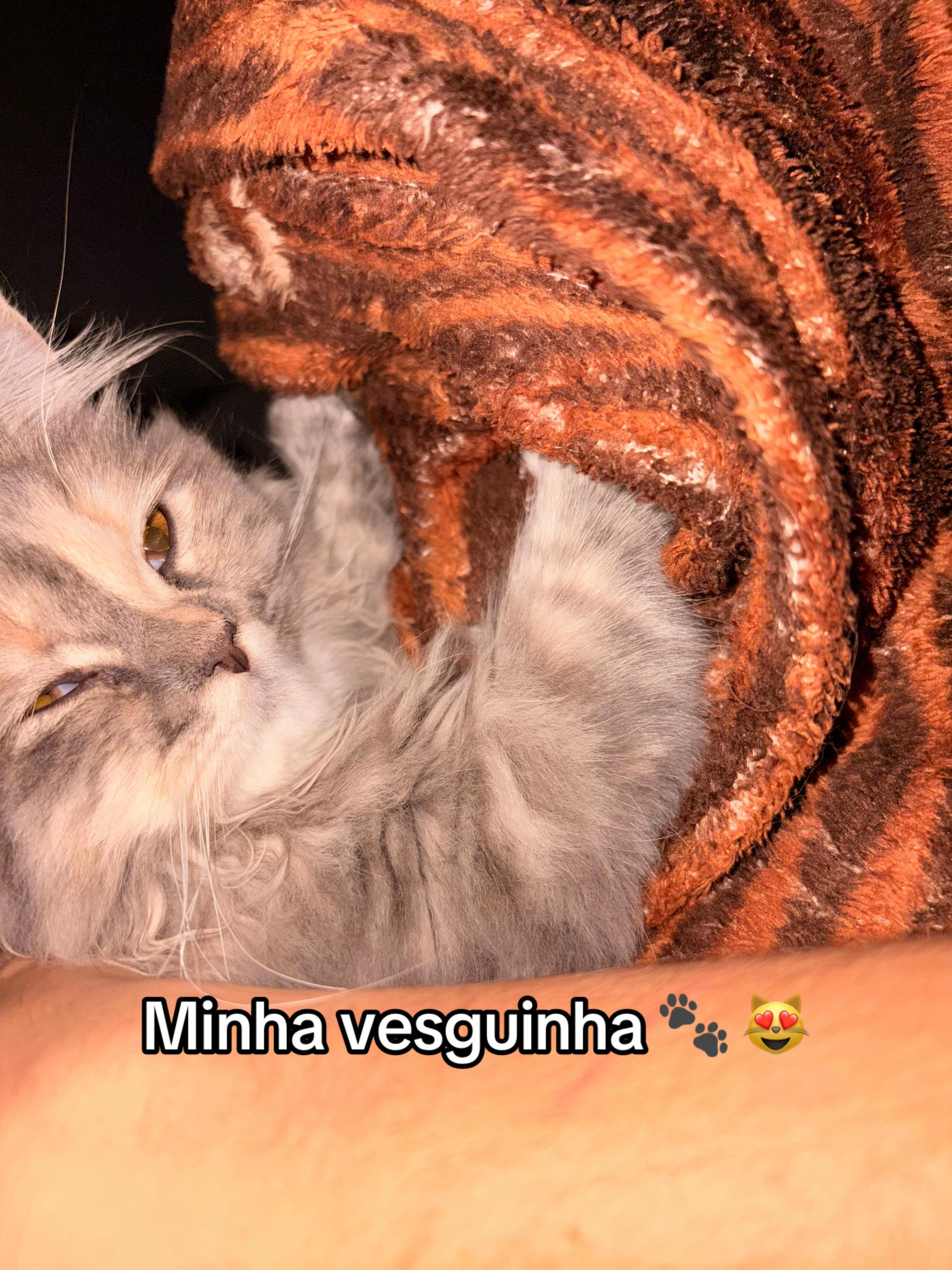 @Thais Buozo