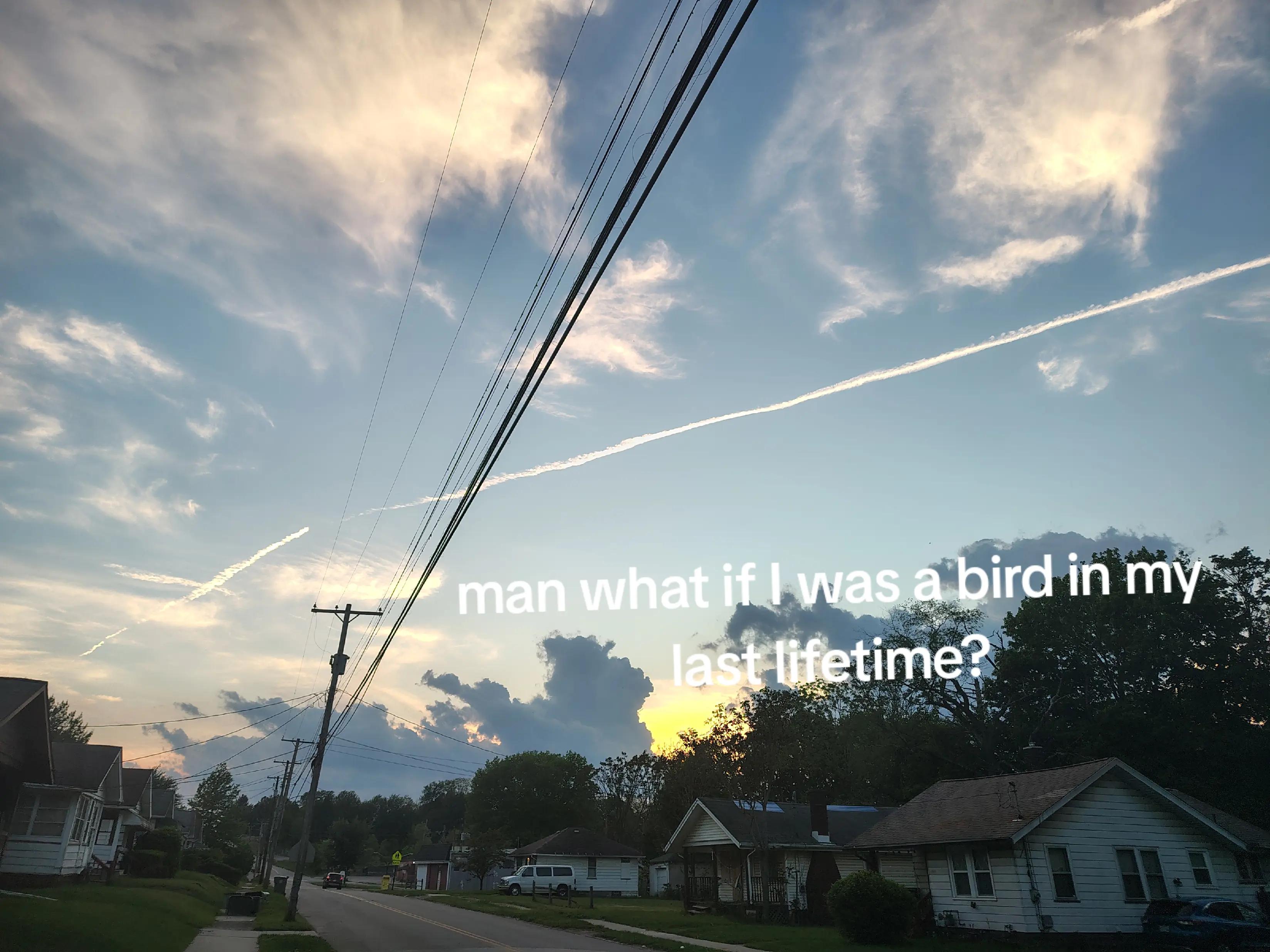 @tw_world