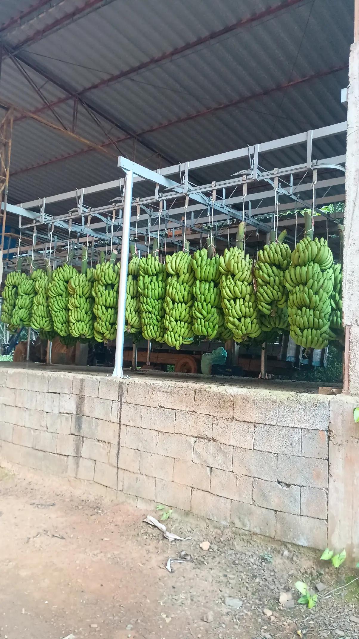 @vilmar alemão