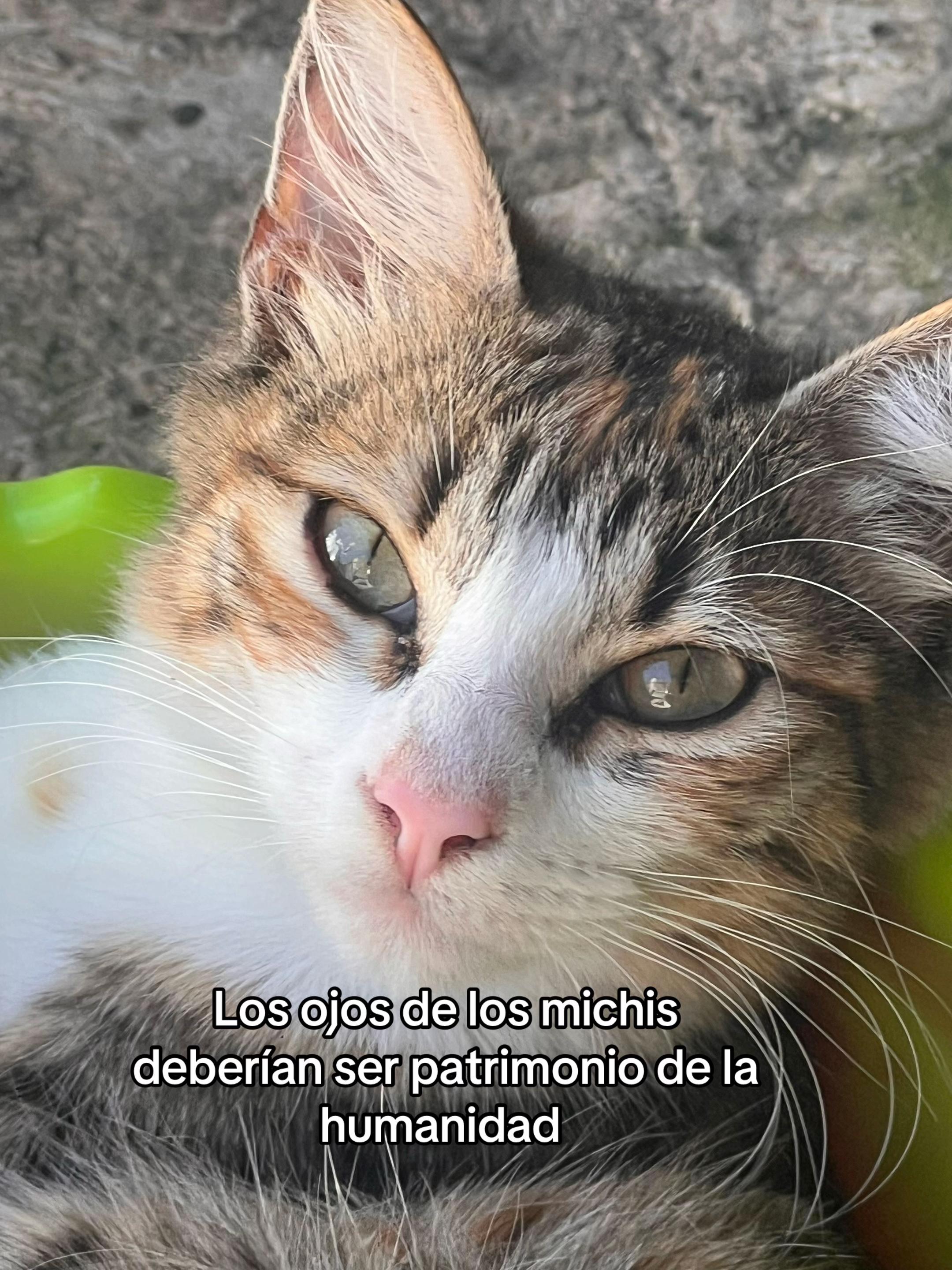 @Alex