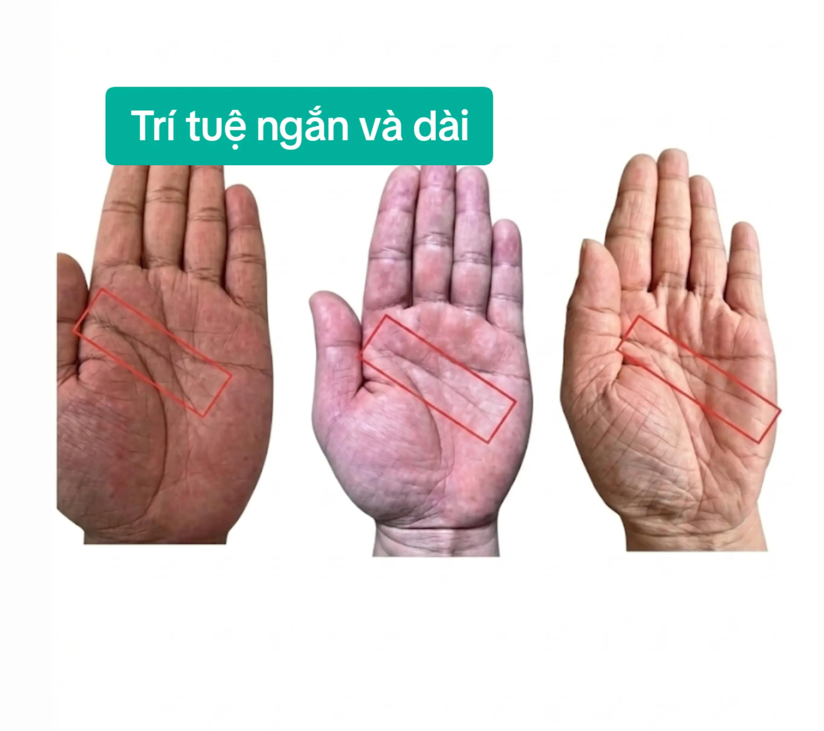 @Nhân Tướng Hiểu Mình