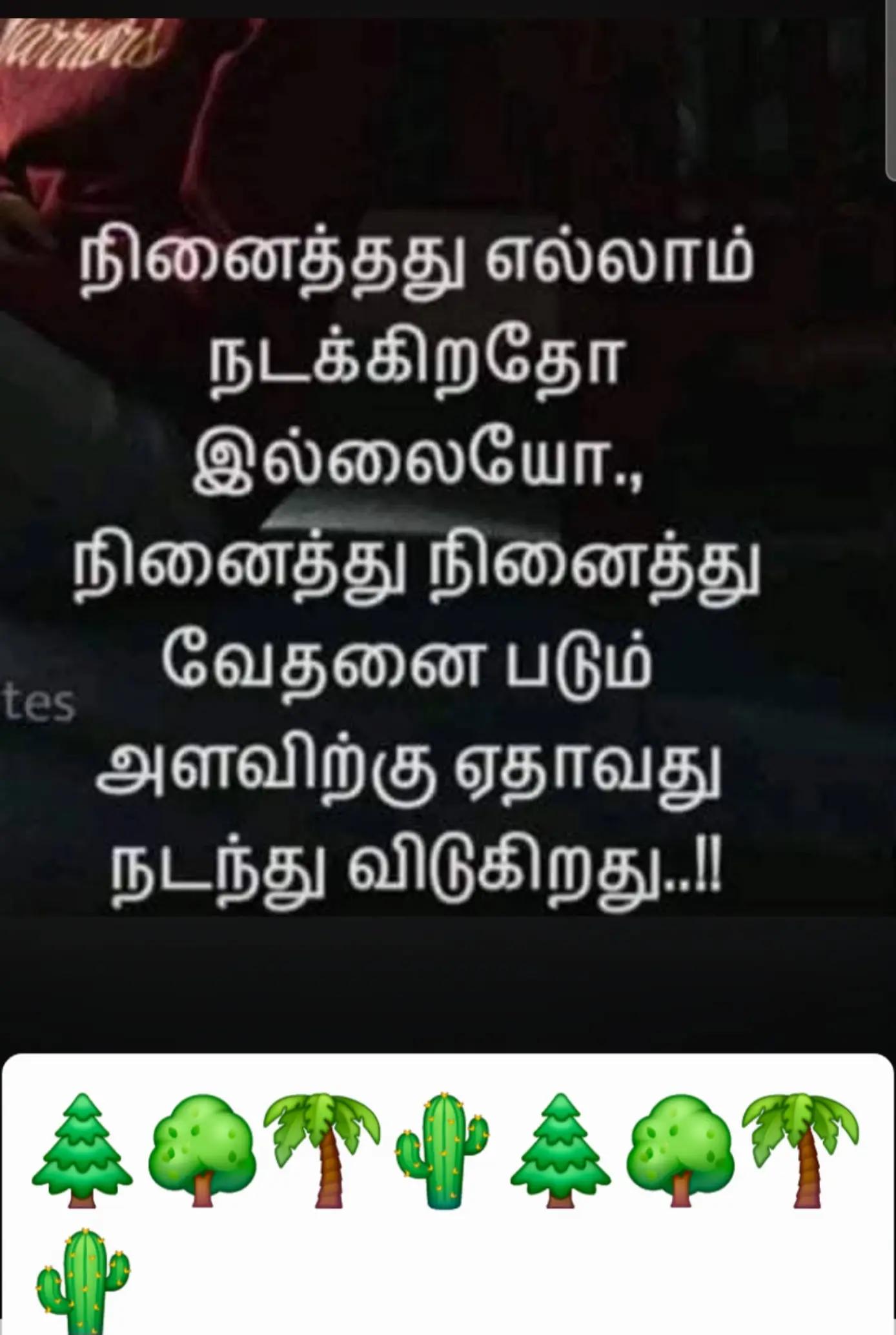@sinna seeli