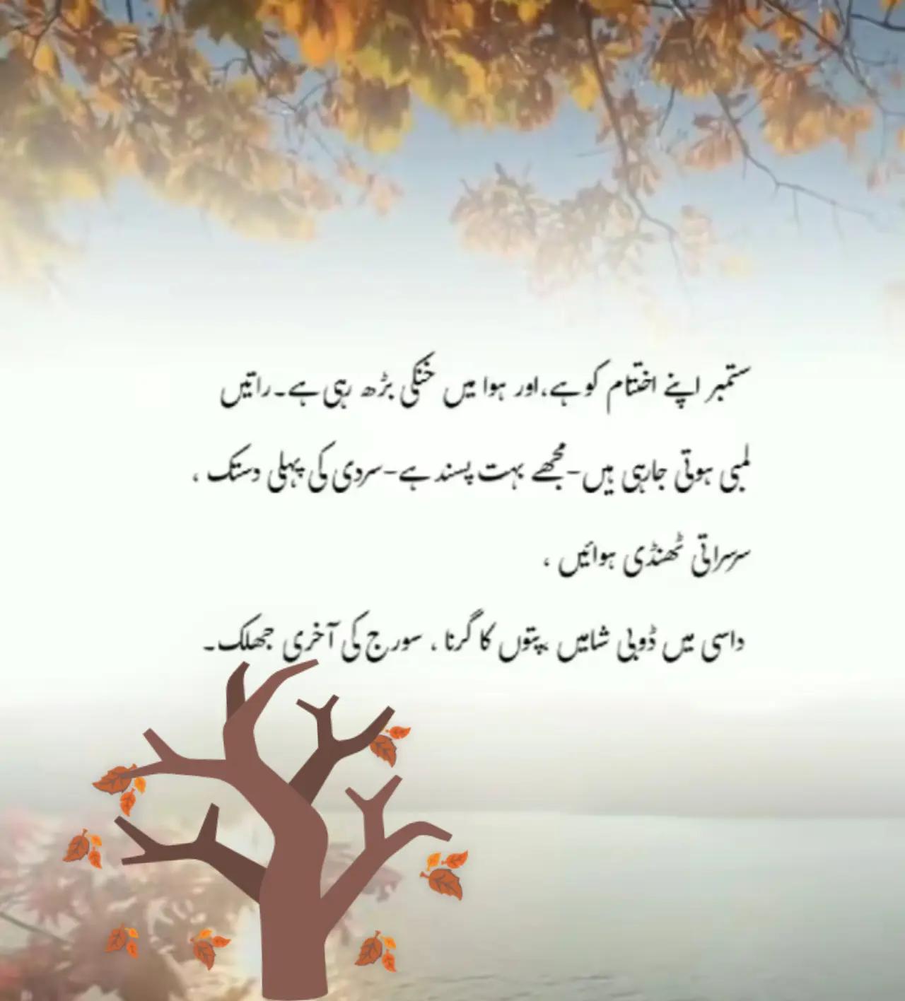 @ZAIN_89🖤